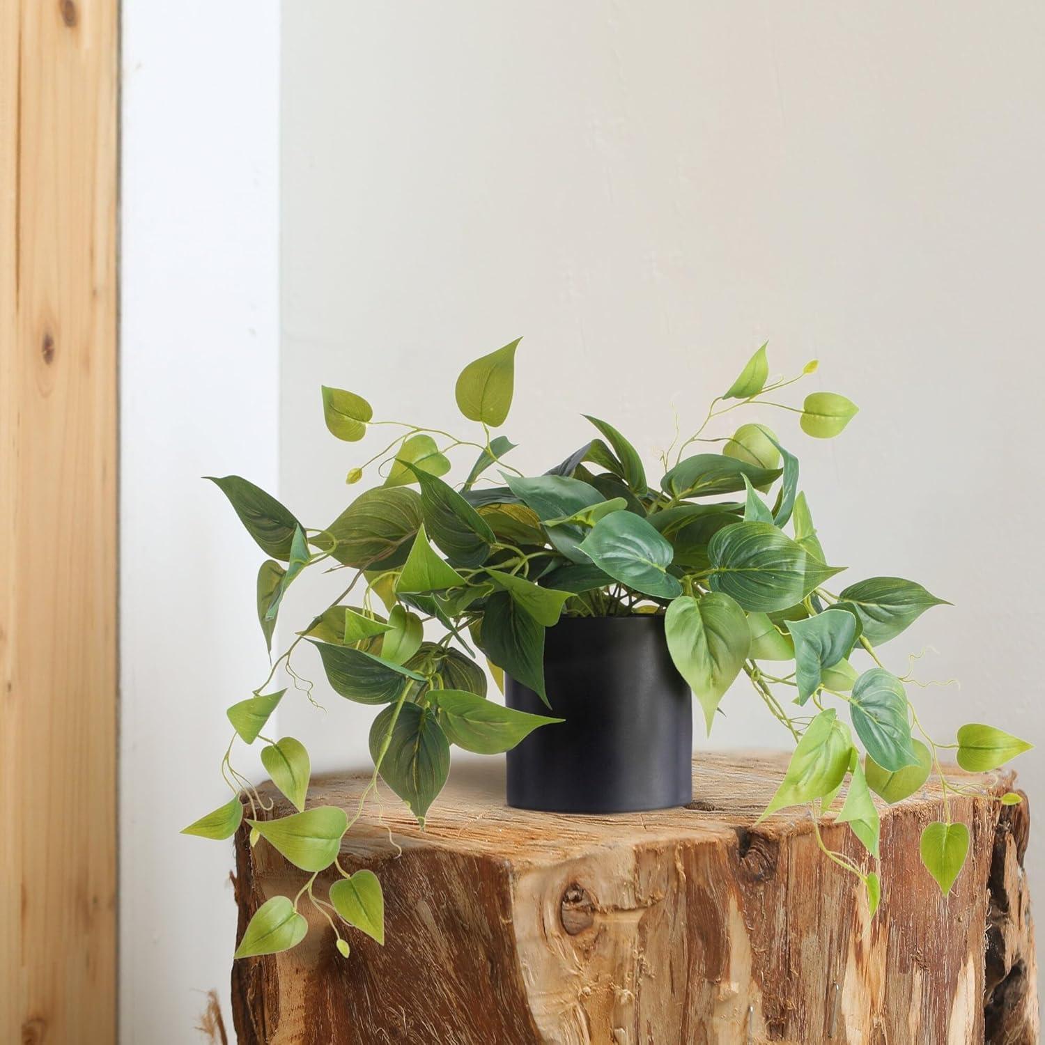 Forever Leaf Artificial Ivy Foliage Plant in Black Ceramic Pot, Indoor Artificial Plant for Home Decor