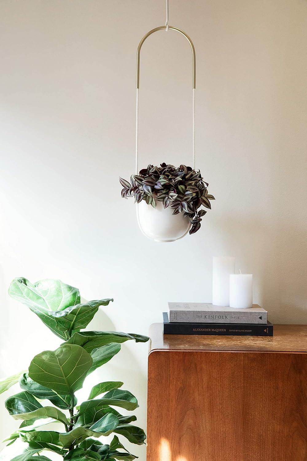 Bolo Ceramic Hanging Planter