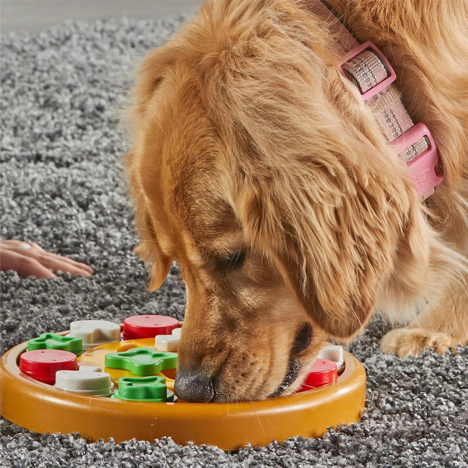 Brightkins Pizza Party! Treat Puzzle, 1 Piece, Interactive Dog Toys, Dog Puzzle Stimulating, Dog Toys, Brain Games for Dogs