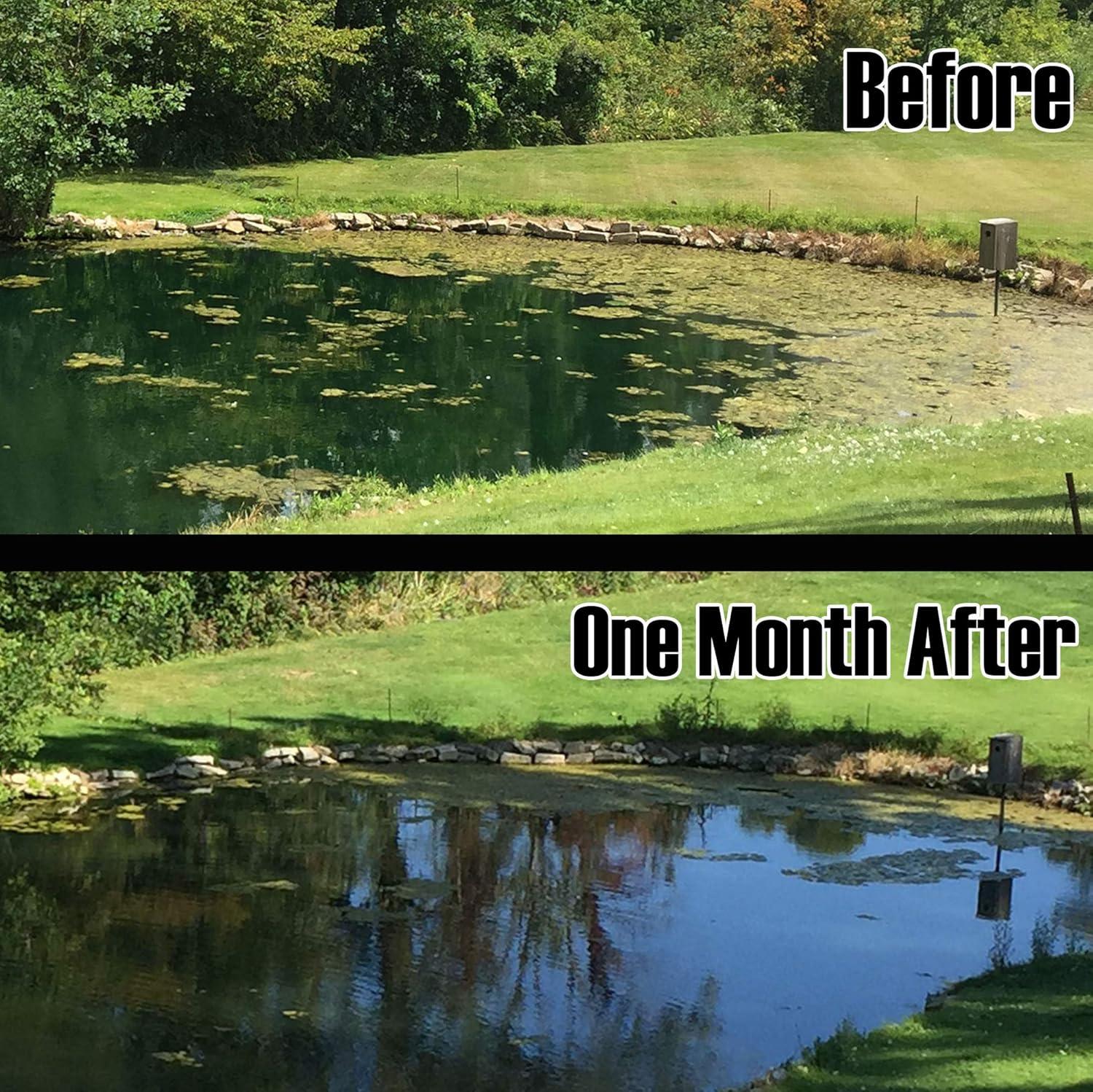 Rootscape Pond Aerator Air Diffuser - Replaces Air Stones For Ponds - Pond Aerators For Large Ponds - Koi Pond Filtration Accessories - Pond Aerators For Outdoor Ponds - Pond Aerator Diffuser