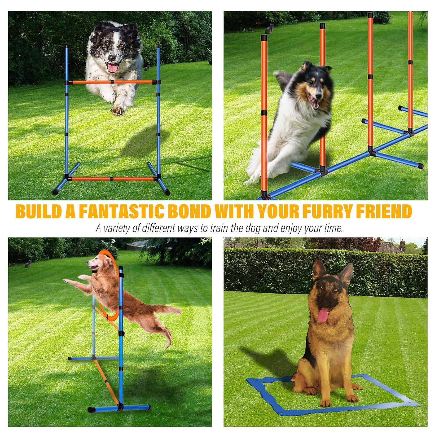 Aukfa Dog Agility Equipment Set, Includes Agility Hurdle, Jumping Ring, Agility Weave Poles and Carrying Bag for Backyard, Indoor, Outdoor