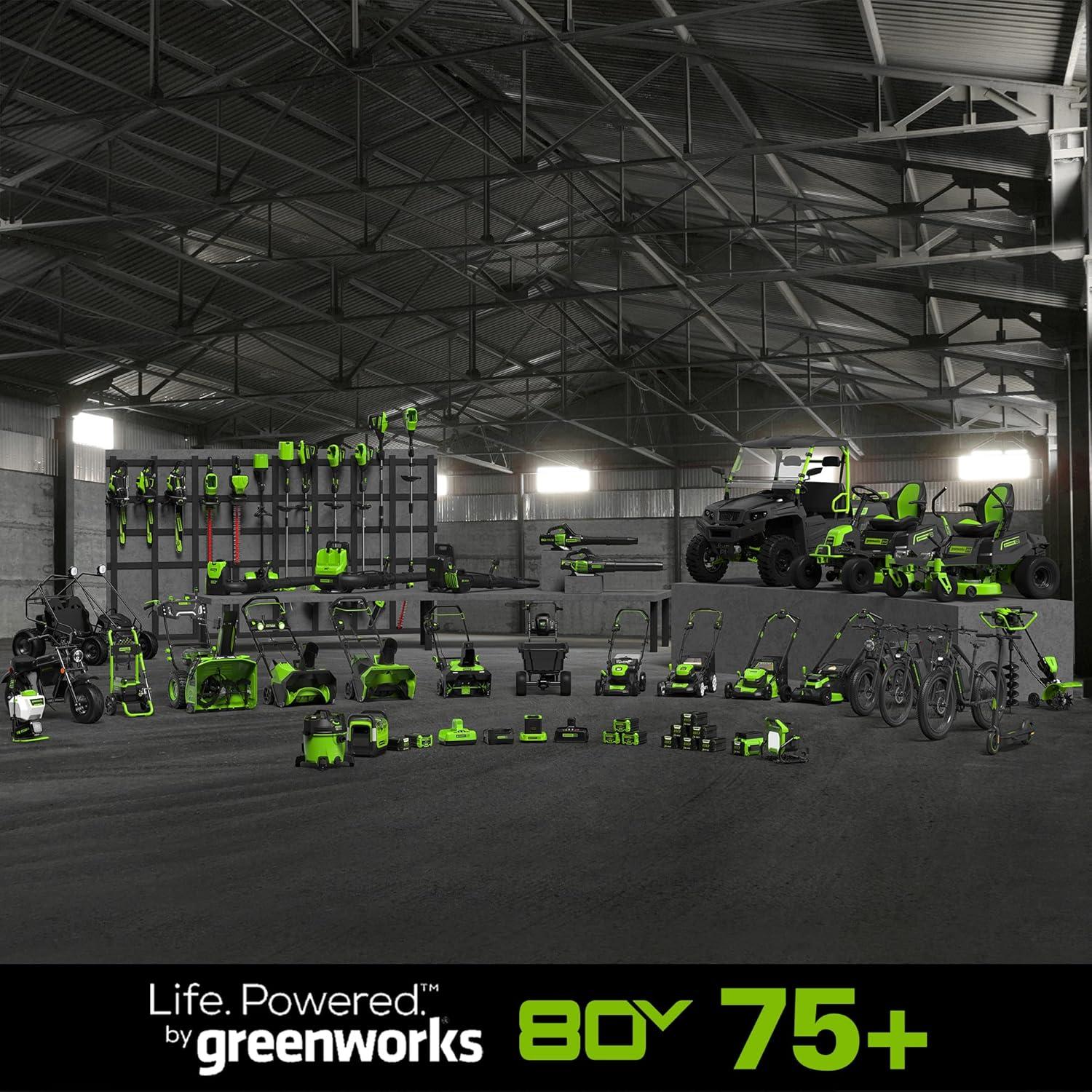 Greenworks Pro 80V (AC/DC) 2500-Lumen LED Work Light, Tool Only