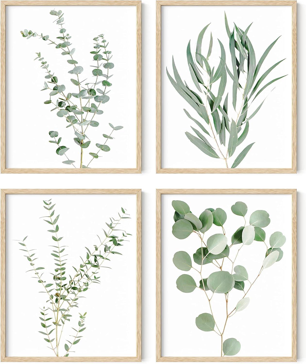 Haus and Hues Framed Botanical Prints - 8"x10" Set of 4 Framed Plant Pictures Wall Art - Botanical Decor - Eucalyptus Wall Decor - Plant Wall Decor - Botanical Wall Art Framed - Framed Plant Prints