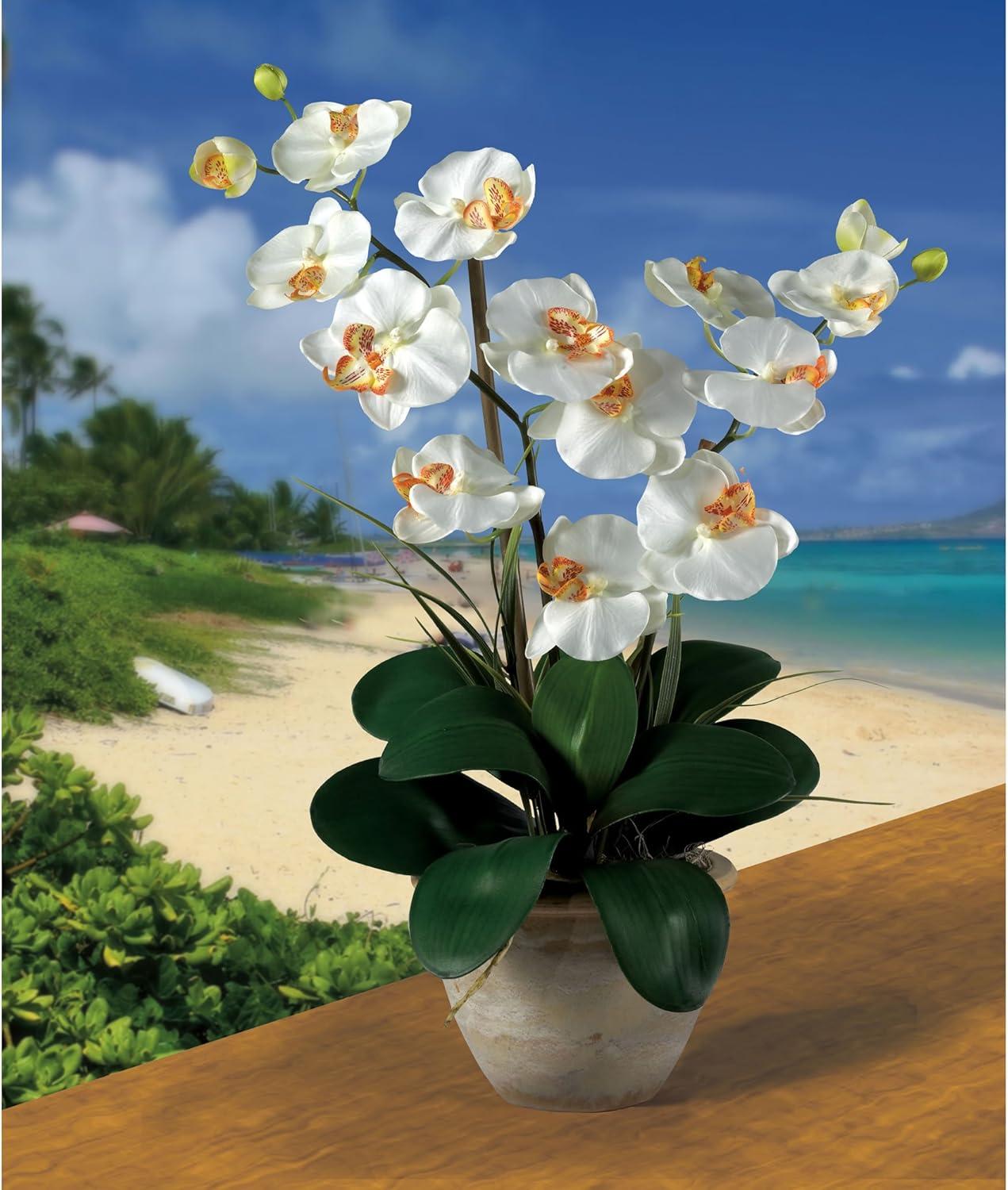 Nearly Natural Double Phalaenopsis Silk Orchid Flower Arrangement, Cream