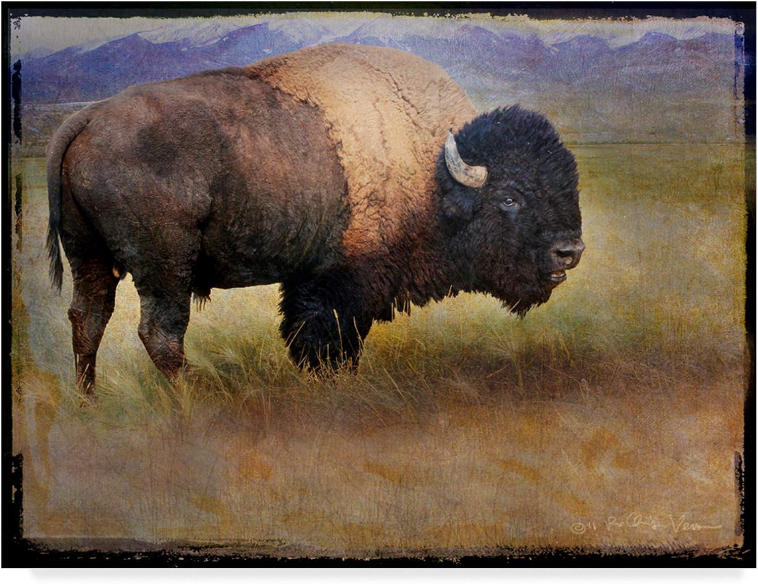 Framed 14x19 Tan and Black Bison Landscape Canvas Print