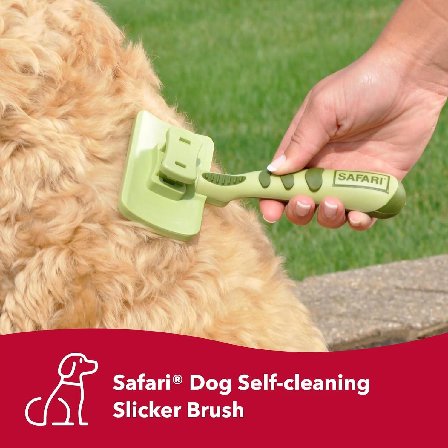 Coastal Pet Safari Dog Self-Cleaning Slicker Brush - Dog Deshedding Brush - Prevents Mats and Tangled Hair - For Dogs with Short or Long Hair - Small - 7" x 3.6"