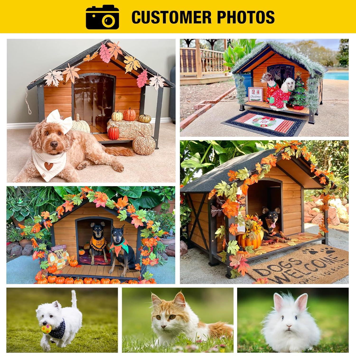 Tucker Murphy Pet™ Schoharie Igloo Style Dog House
