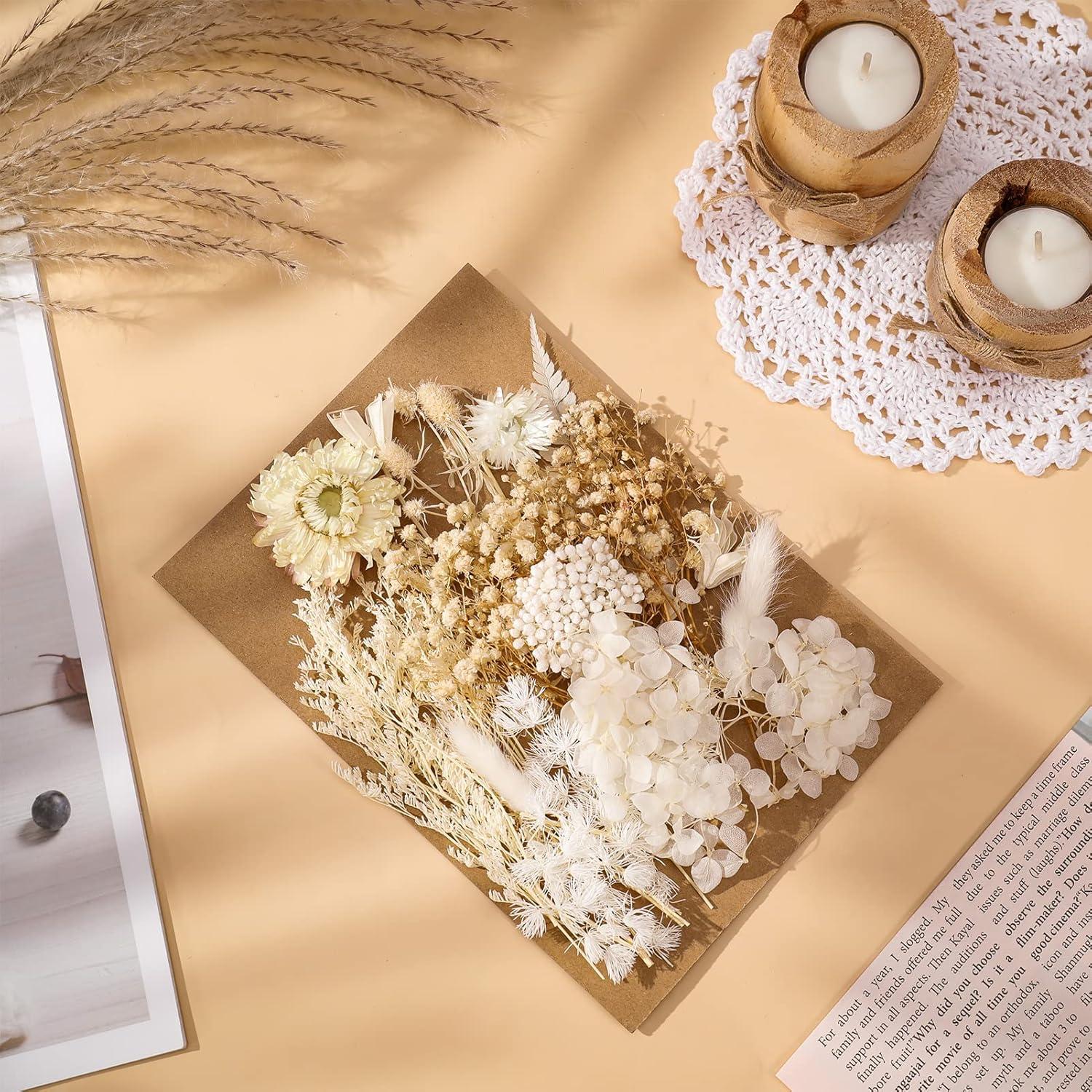 Yoloke DIY Dried Flowers Craft Kit - Natural Assorted Dried Florals for Making Everlasting Valentine's Day Gifts, Unique Design, Perfect for Framing & Creative Decor