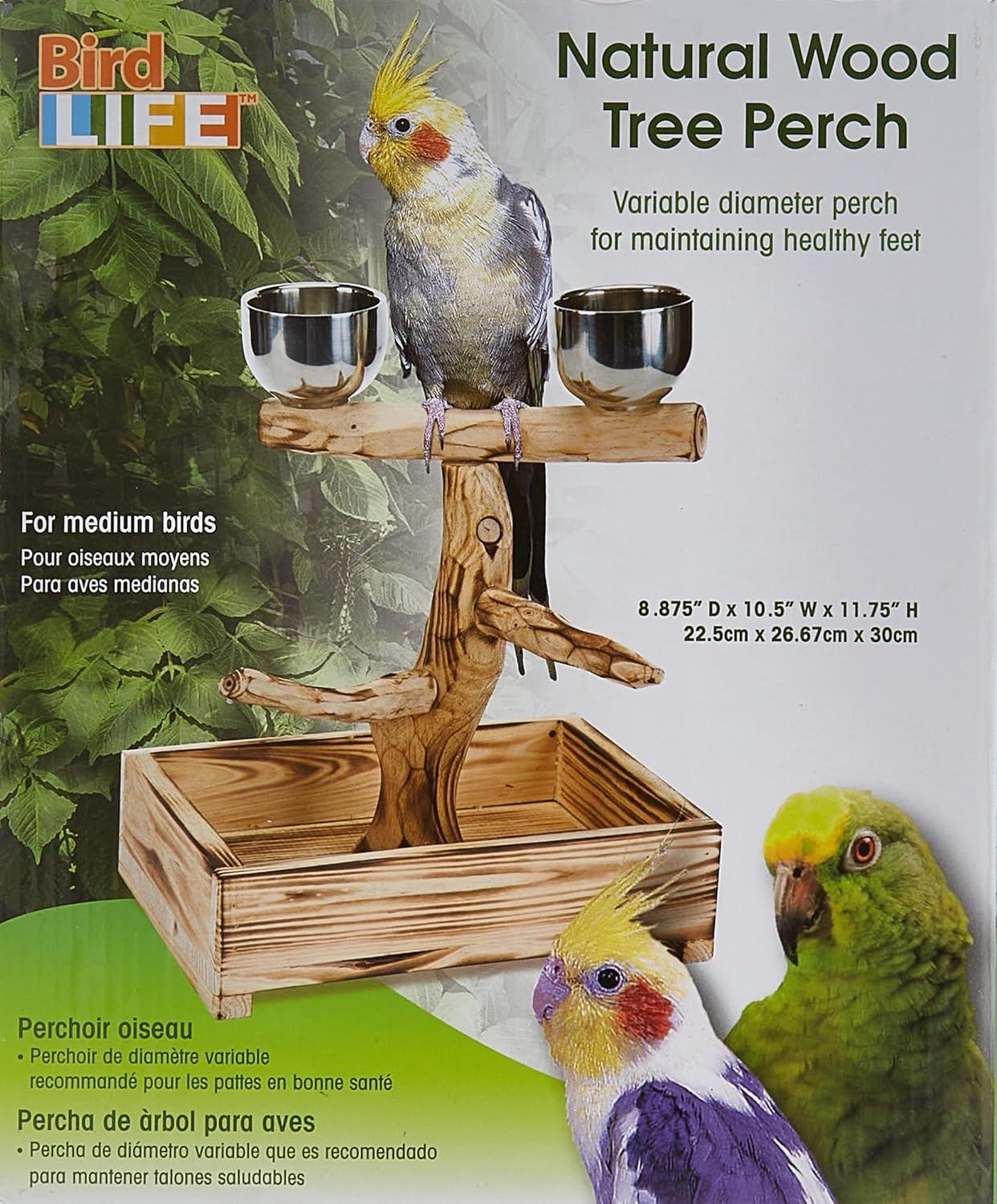 Penn-Plax Bird-Life Natural Wood Tree Perch for Small and Medium Birds, Brown