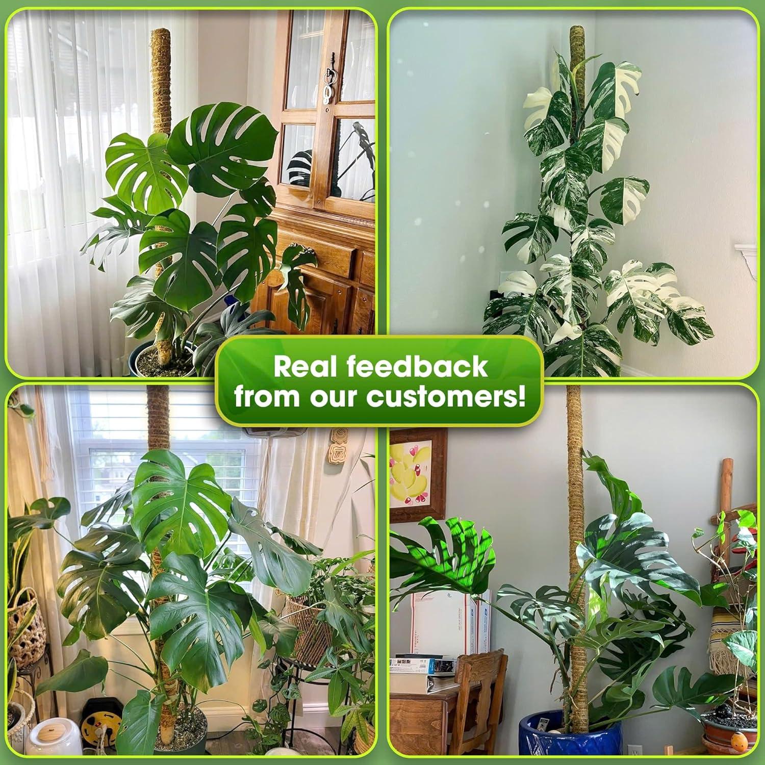 DUSPRO 59 Inches Non-Bendable Pole for Big Plants, Large Moss Pole for Plants Monstera, Plant Stakes for Indoor Plants, Monstera Plant Support, Plant Pole for Big Climbing Plants Indoor (1pc., 59'')