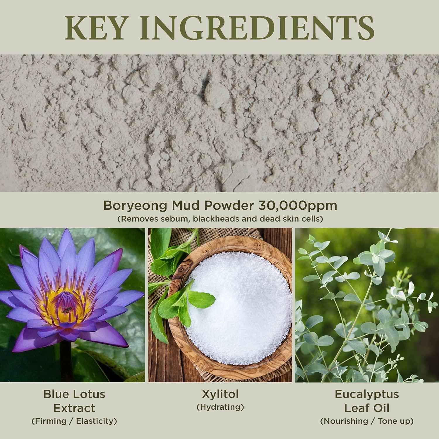 Recovery Mud Peel Off Mask for Exfoliating and Deep Cleansing, Blackhead Remover Mask 110ml (3.72 fl.oz.) - Peel-Off Mask with Boryeong Mud, Pore Minimizer and Sebum Control for Women and Men