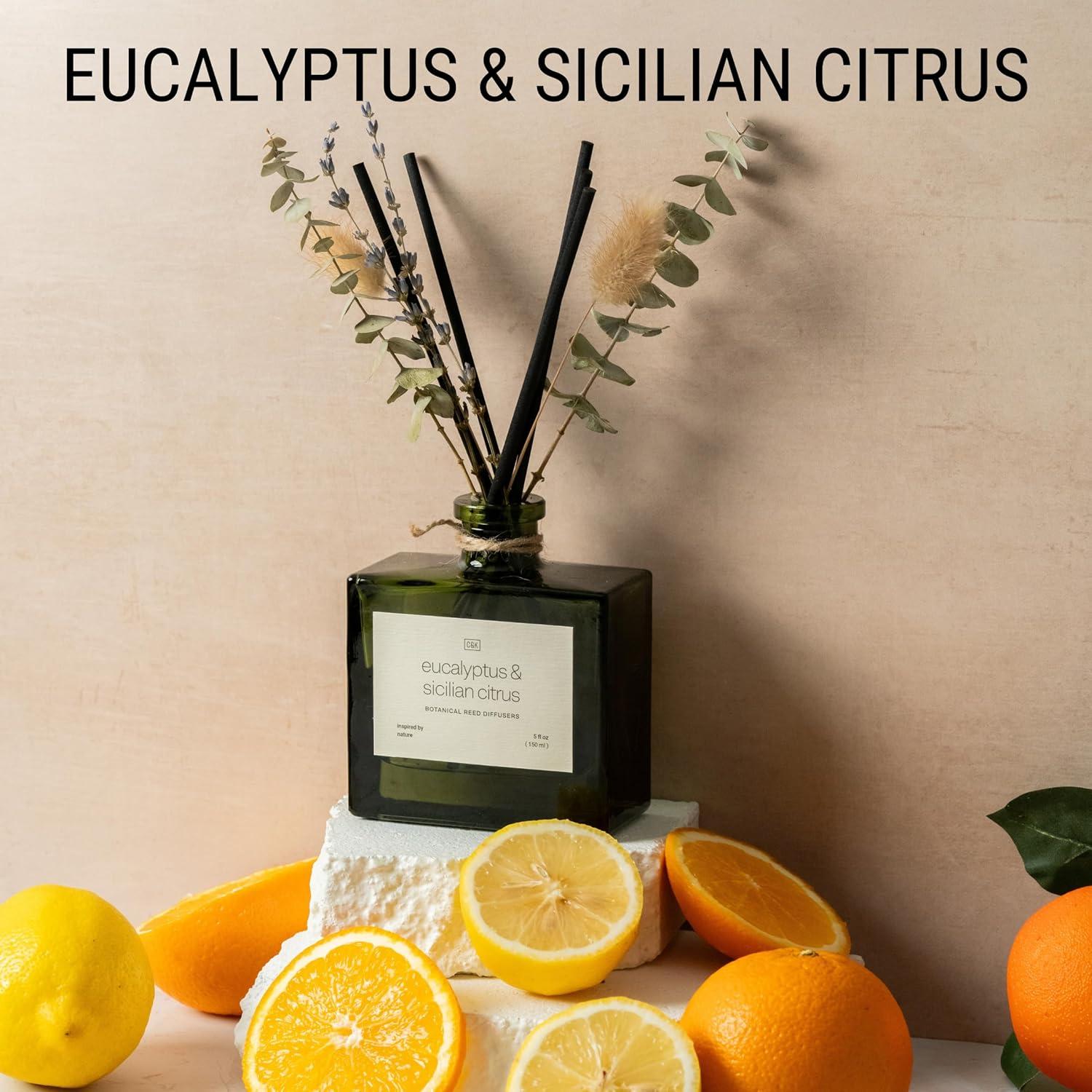 Craft & Kin Reed Diffuser Set With Flower For Home With Eucalyptus & Sicilian Citrus Scent