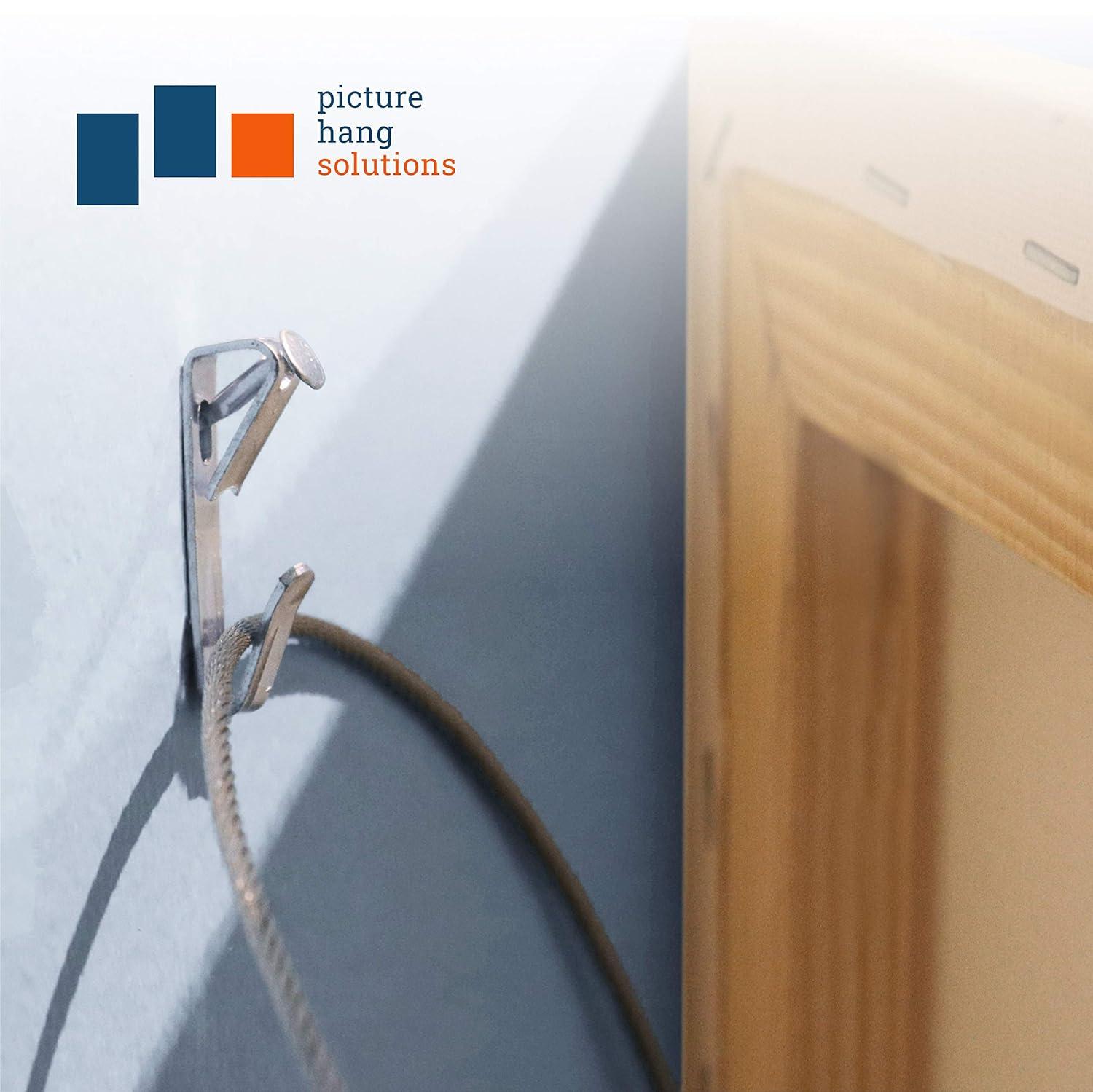 Picture Hanging Hooks 30 lb - Professional Picture Hangers for Drywall with Wall Nails - 100 Pack