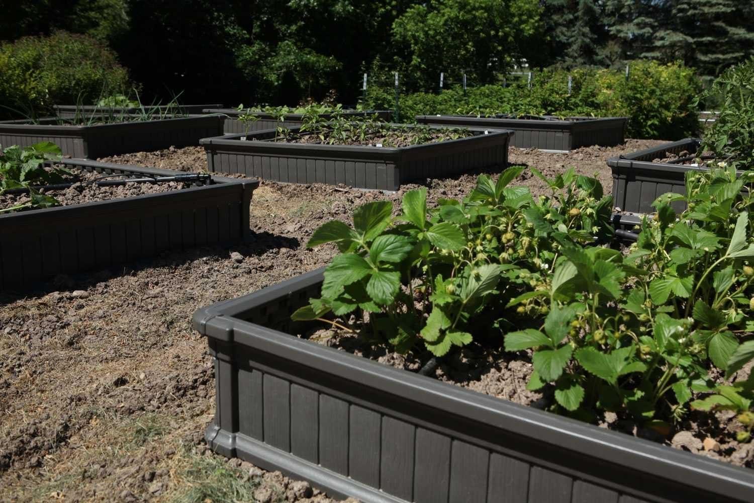 Lifetime Raised Garden Bed