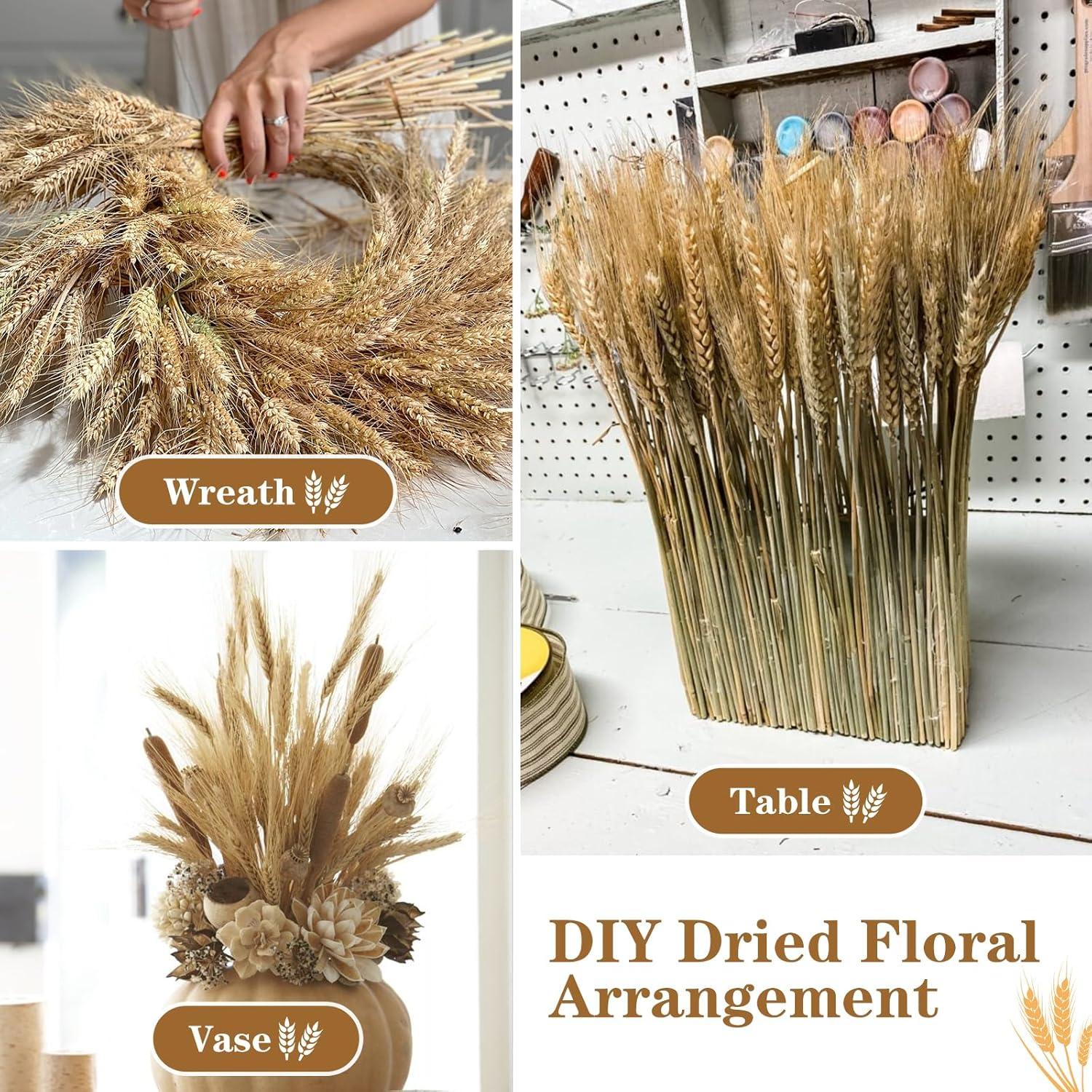 Ophelia & Co. 500PCS Dried Flowers Dried Wheat Stalks for Decor for Home DIY Design Table Centerpieces | Wayfair