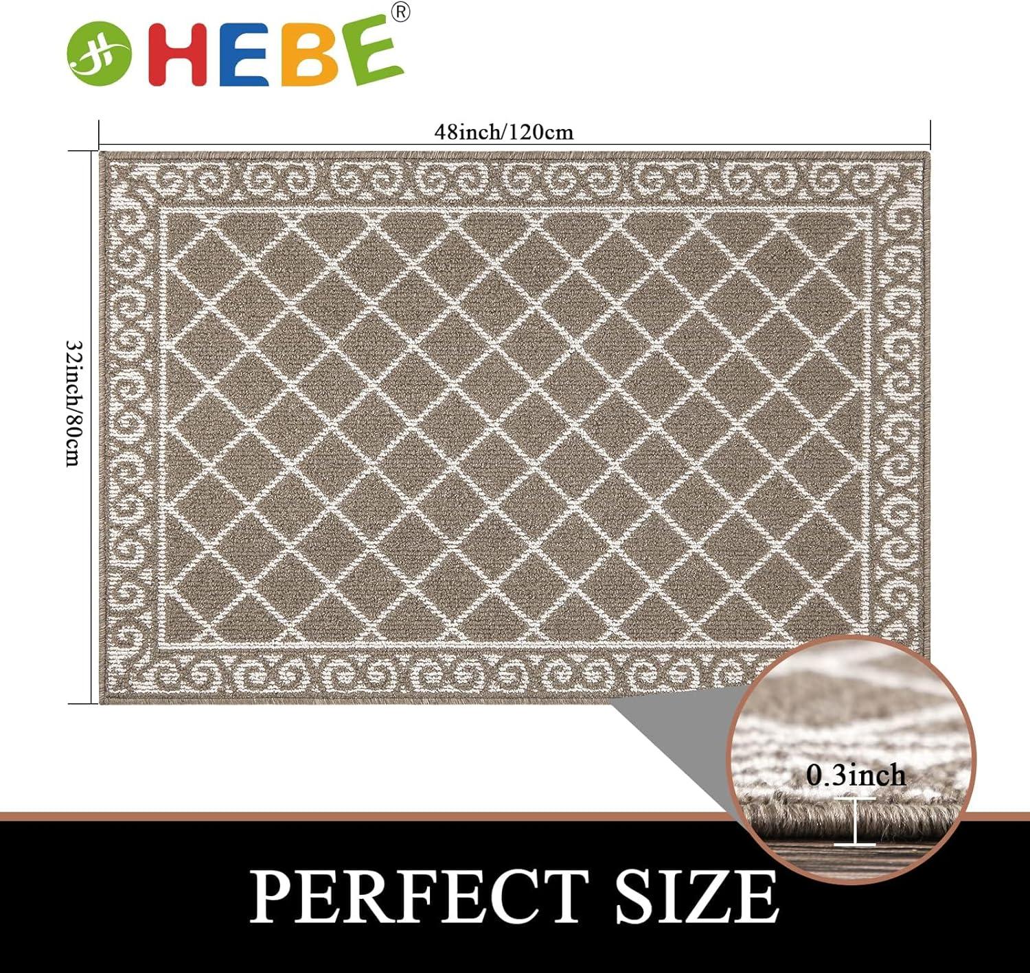 HEBE Indoor Door Mat 32"x48" Non Slip Front Door Welcome Mats Washable Shoe Mats Dirt Trapper for Entryway Low Profile Kitchen Carpet for Entrance Hallways Entrance Mat for Dogs