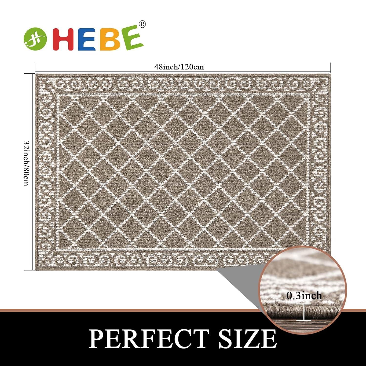 HEBE Indoor Door Mat 32"x48" Non Slip Front Door Welcome Mats Washable Shoe Mats Dirt Trapper for Entryway Low Profile Kitchen Carpet for Entrance Hallways Entrance Mat for Dogs
