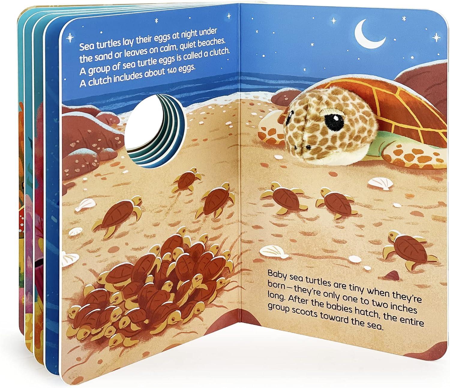 Jane & Me Sea Turtle Family (the Jane Goodall Institute) - by  Jaye Garnett (Board Book)