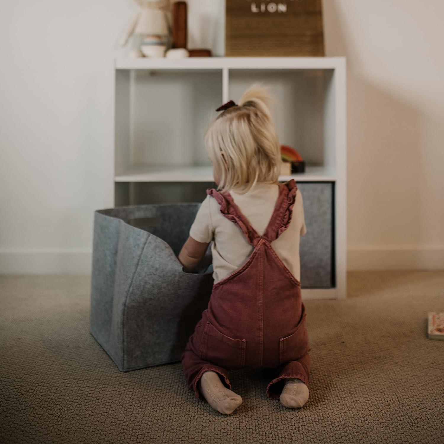 Parker Baby Felt Storage Cube Bin