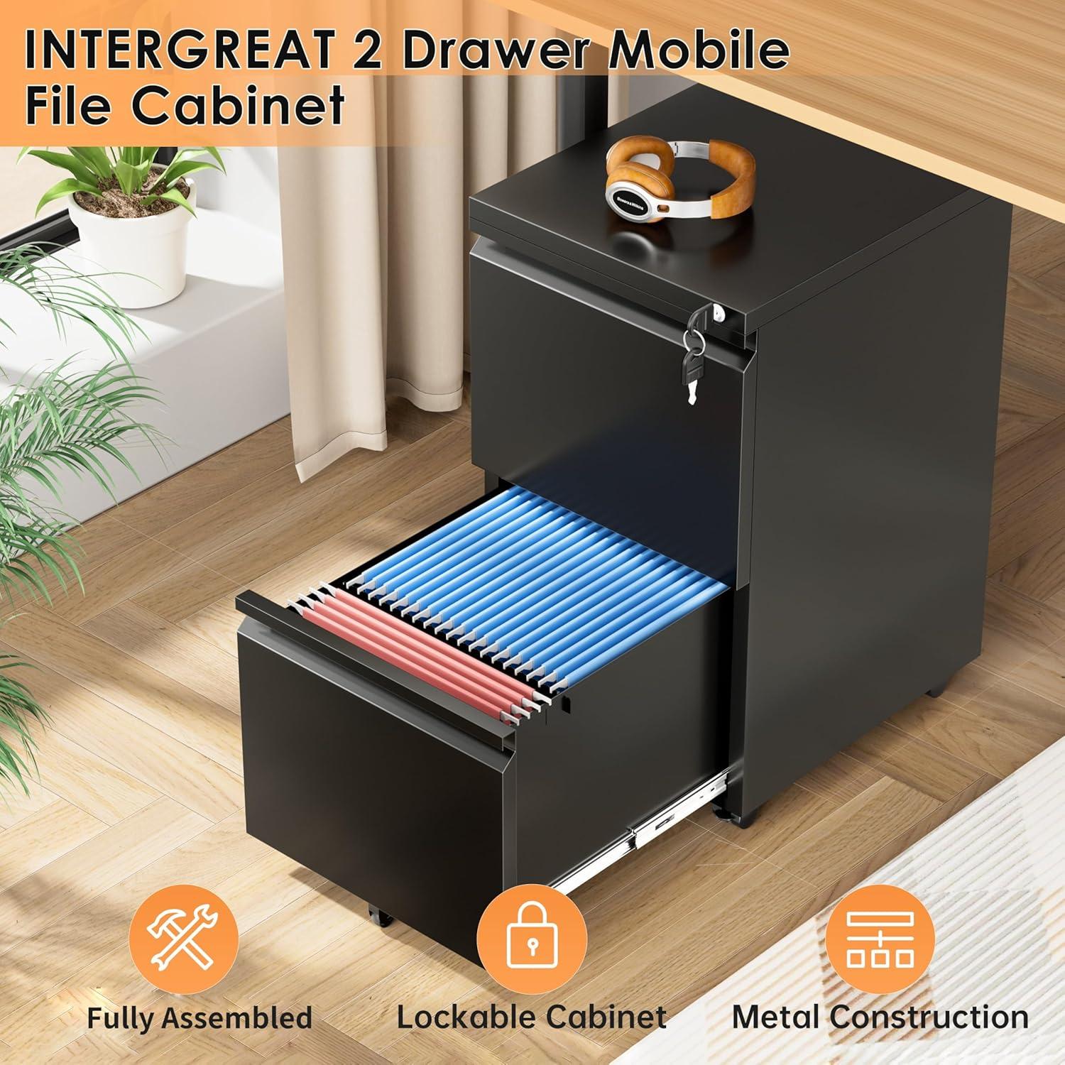 Black Metal 2-Drawer Lockable Mobile Filing Cabinet