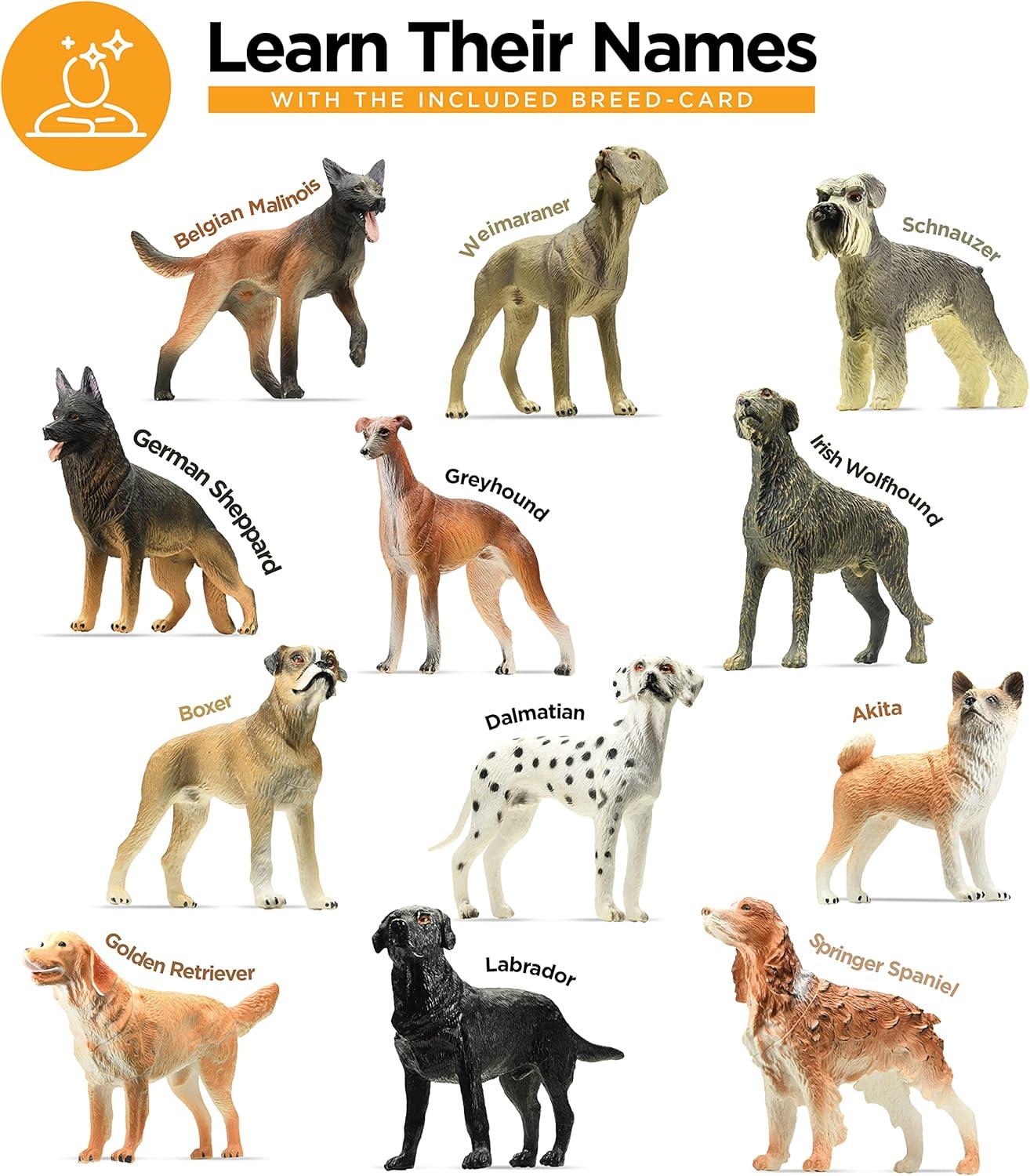 Friendly Dog Figurines for Kids and Toddlers - Set of 12 Realistic Pet Pocket Dog Figures - Non-Toxic Dog Cake Topper, Educational and Imaginative Play Detailed Farm Dog Animal Figurines, Ages 3+