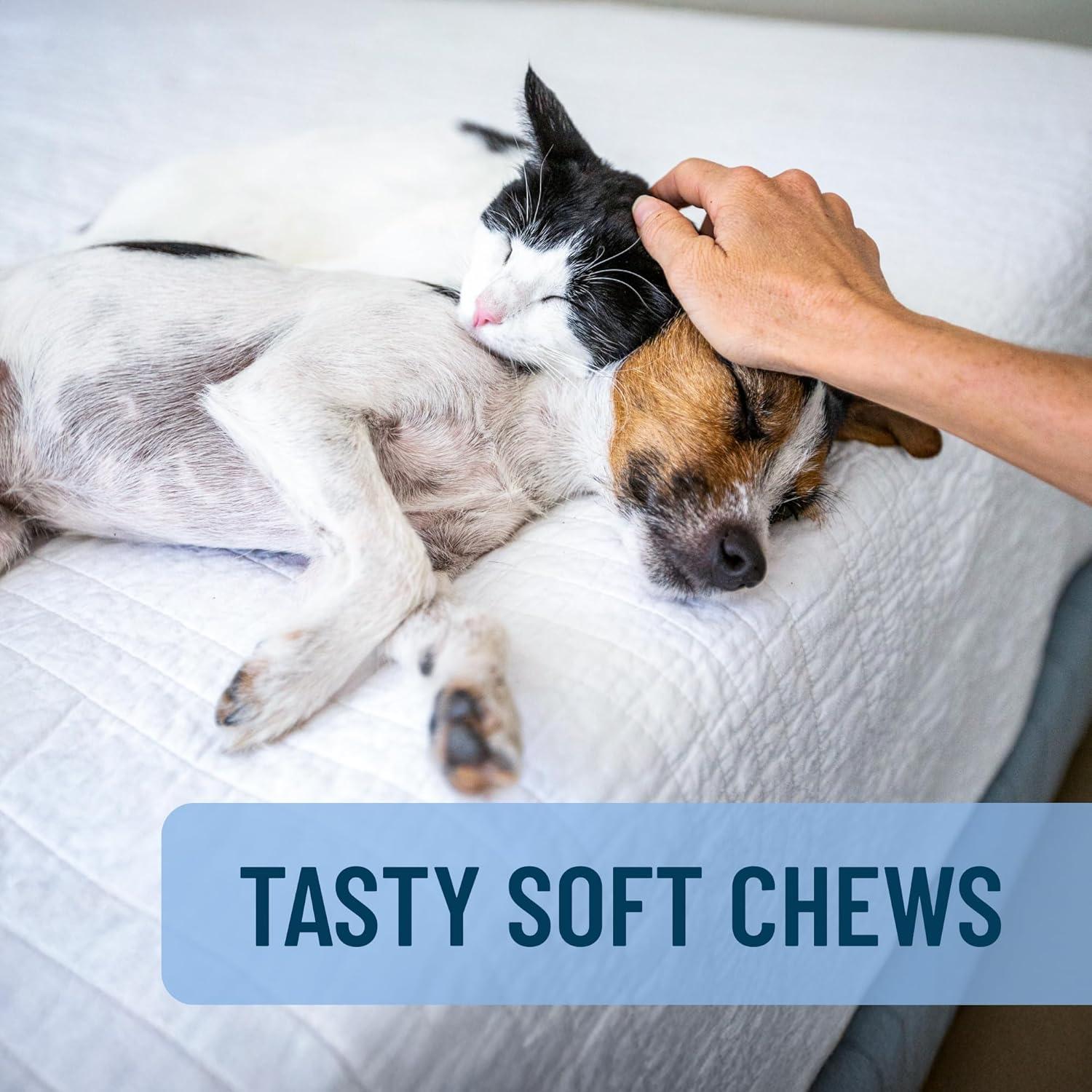 Solliquin Soft Chews Calming for Small & Medium Dogs & Cats 75ct