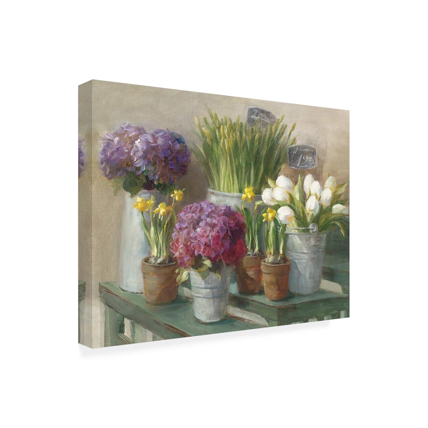 Trademark Fine Art 'Les Fleurs Printemps' Canvas Art by Danhui Nai