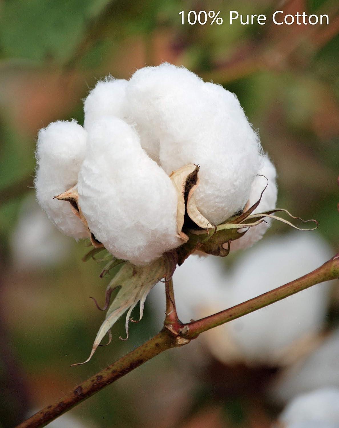 GLAMBURG 100% Cotton Bed Blanket, Breathable Bed Blanket Queen Size, Cotton Thermal Blankets Full - Queen Size, Perfect for Layering Any Bed for All Season - Sky Blue