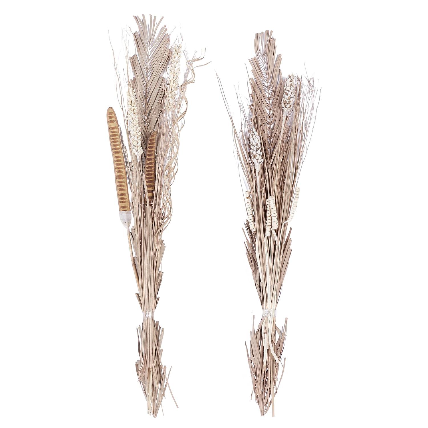 57" Dried Plant Natural Foliage Pigeon pea Bouquet, by DecMode (2 Count)