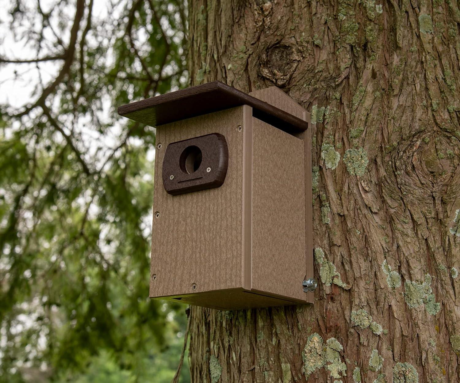 JCs Wildlife Recycled Poly Lumber Standard Bluebird Bird House (Brown and Brown)