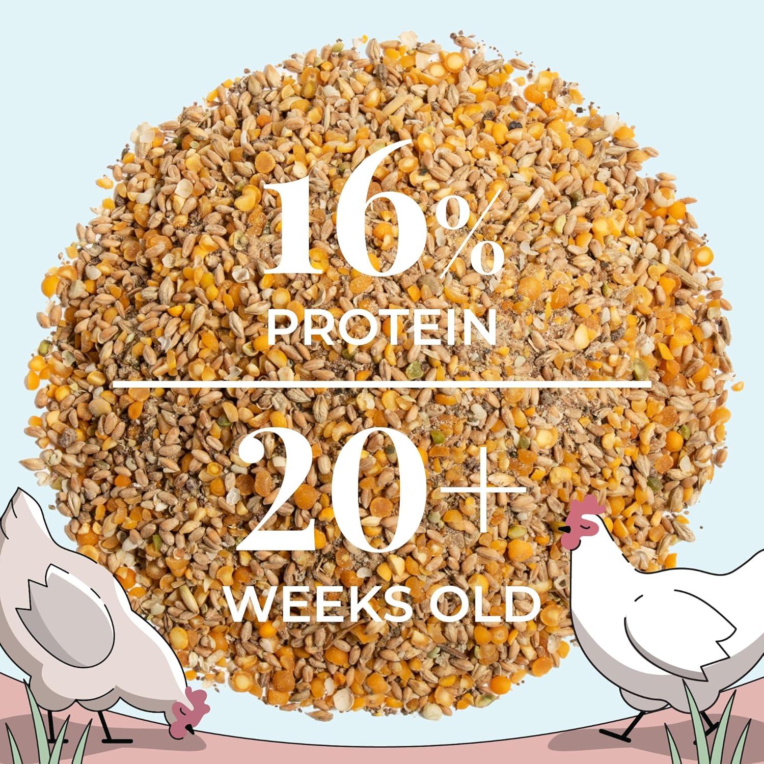 Mile Four | Layer Organic Chicken Feed | 100% US Grown Grains, Certified Organic, Certified Non-GMO, Corn-Free, Soy-Free, Non-Medicated Chicken Food | 16% Protein | Whole Grain | 23 lbs.