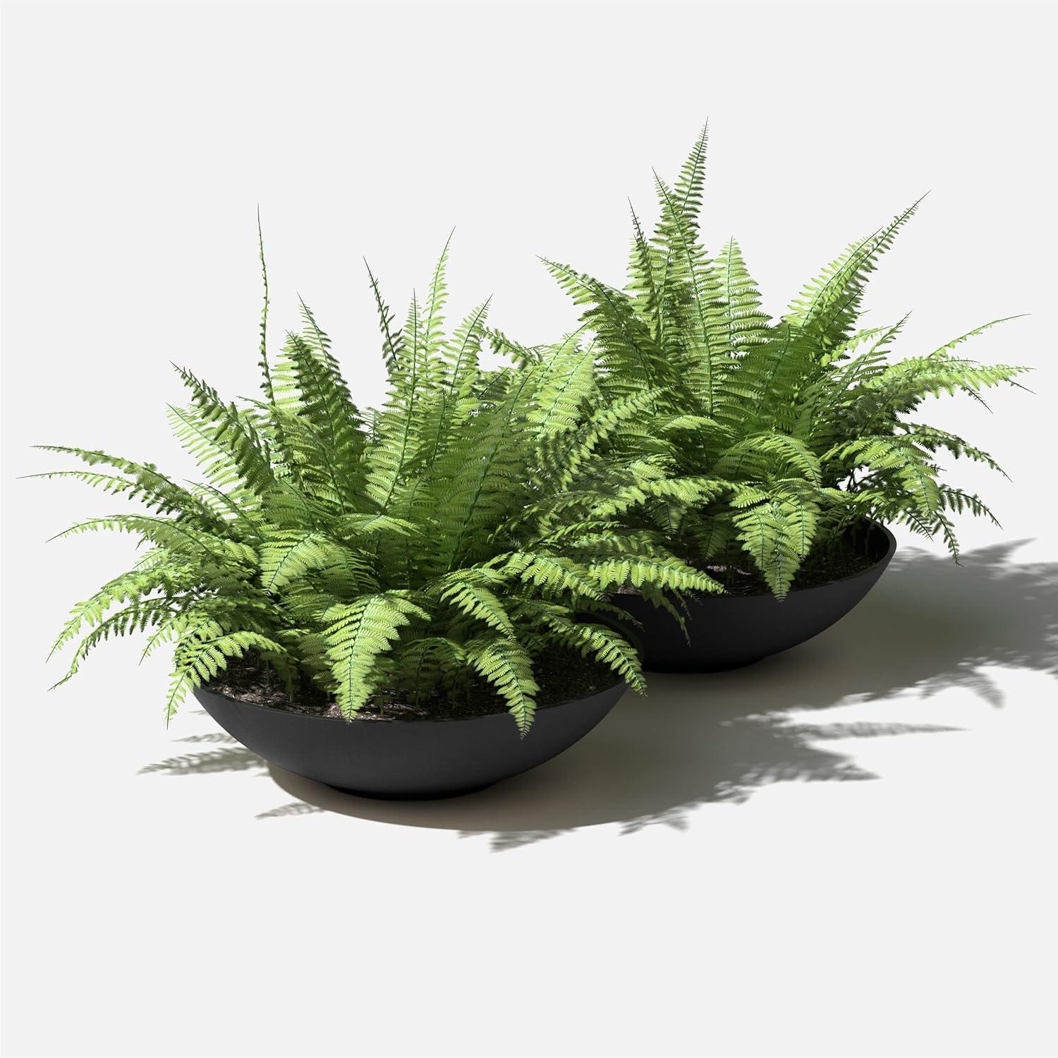 Veradek Mason Series Lane Bowl 24" Plastic-Stone Planter 2-Pack Black