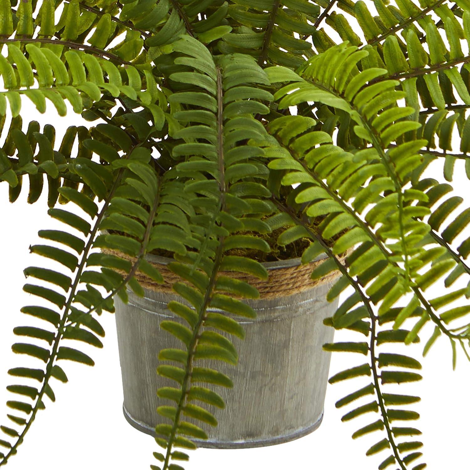 14" x 13" 3pc Artificial Ferns with Planter Set - Nearly Natural: Indoor Greenery Decor, Faux Plant Display