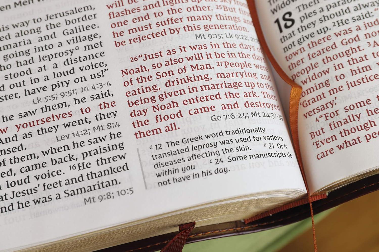 NIV, Reference Bible, Giant Print, Imitation Leather, Brown, Red Letter Edition, Comfort Print - Large Print by  Zondervan (Leather Bound)