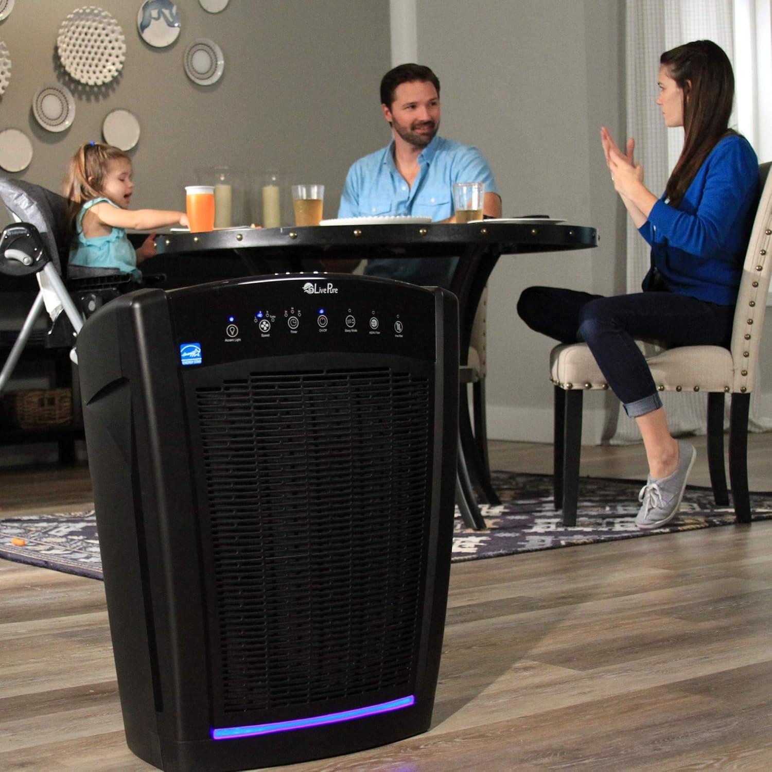 Graphite Multi-Room True HEPA Console Air Purifier