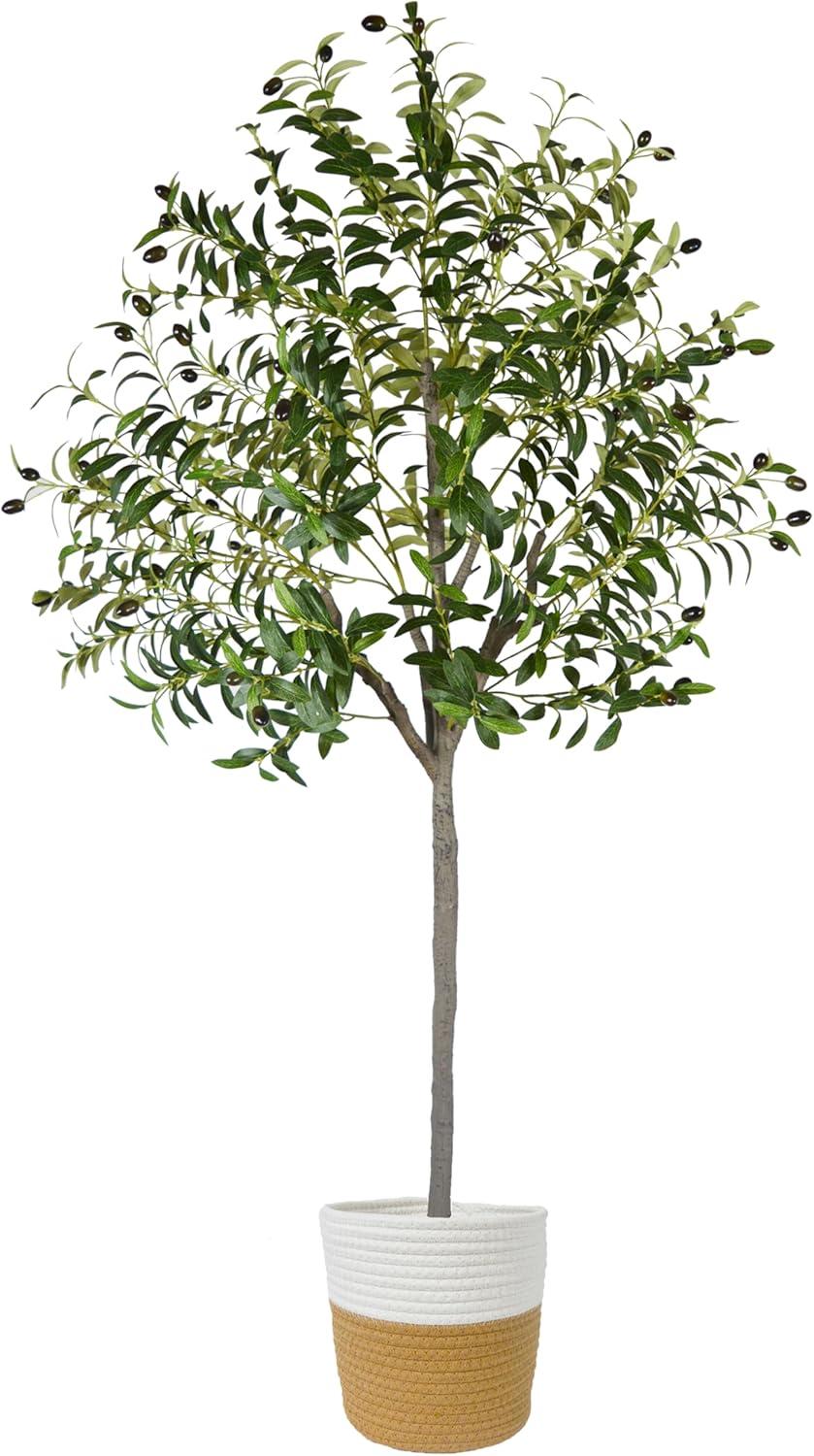 6FT Tall Artificial Olive Tree with Realistic Trunk and Leaves in White Pot