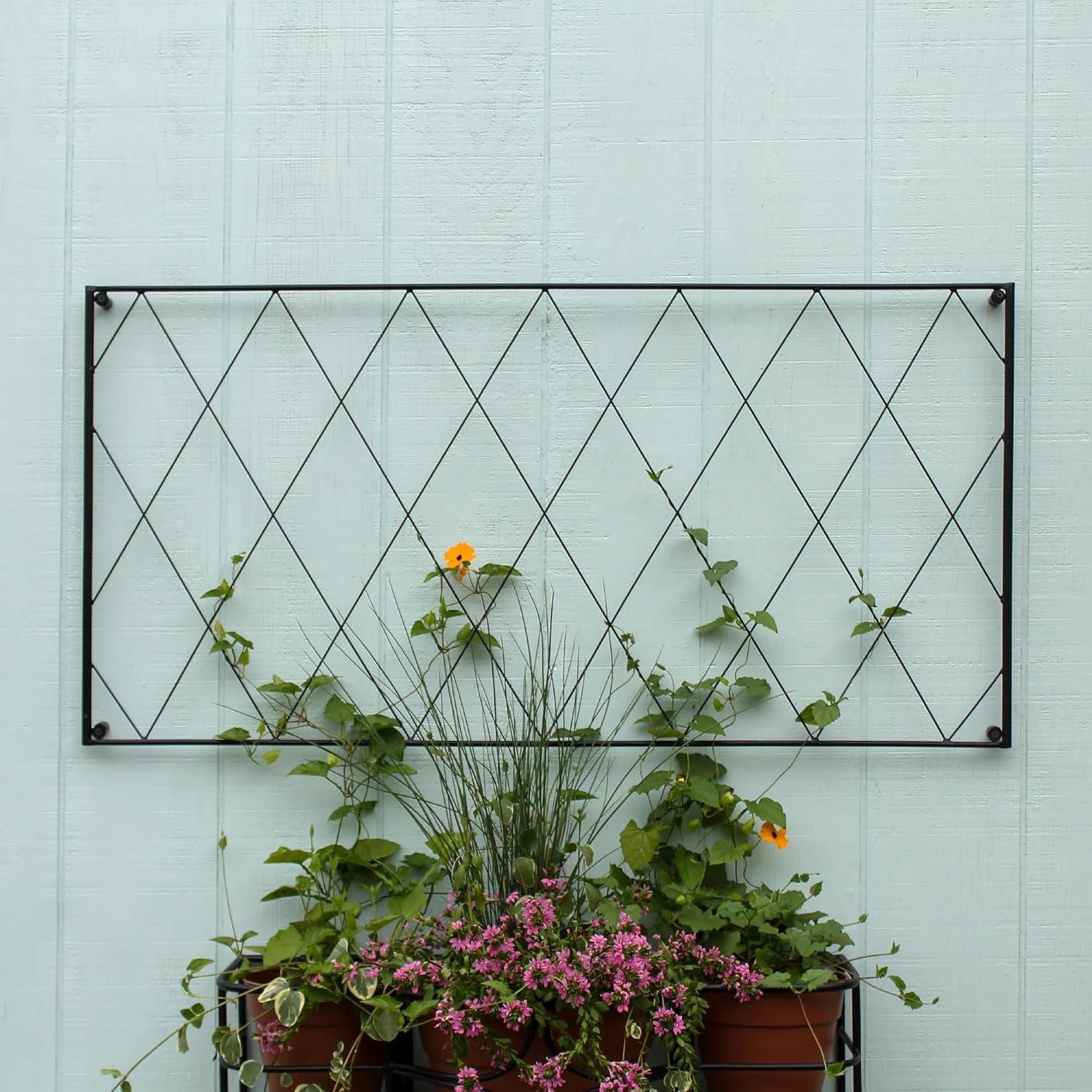 Clarence Wall-Mounted Trellis Set