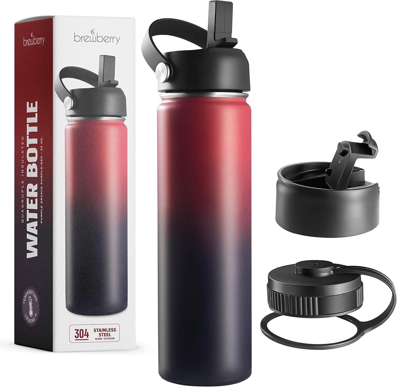 Brewberry Insulated Water Bottle and Travel Mug for Hot and Cold Beverages With Straw