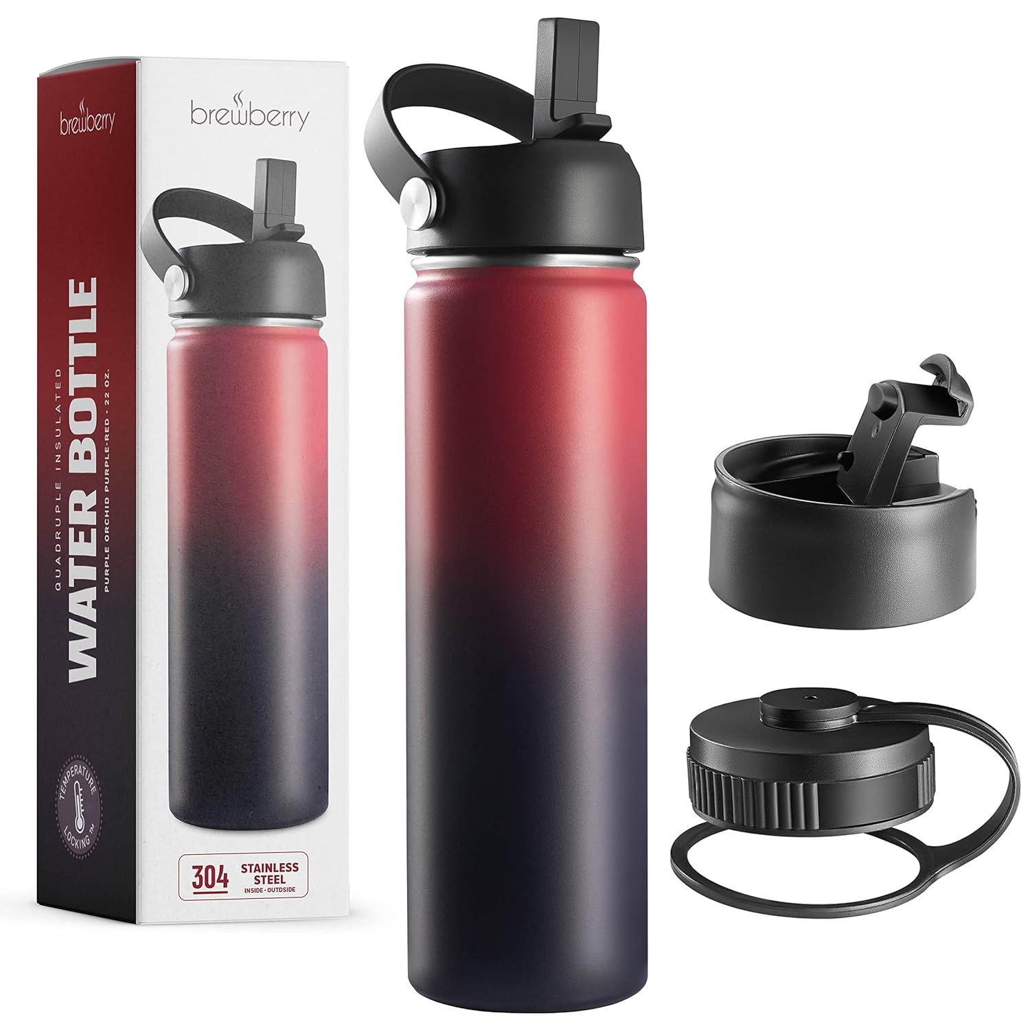 Brewberry Insulated Water Bottle and Travel Mug for Hot and Cold Beverages With Straw