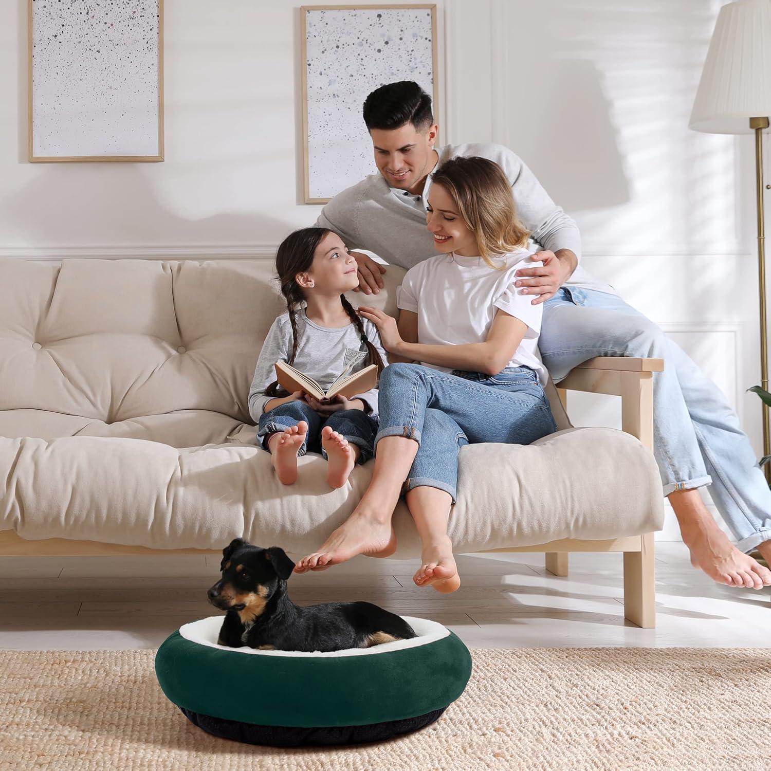 Archie & Oscar™ Round Donut Cat And Dog Cushion Bed, 20In Pet Bed For Cats Or Small Dogs, Anti-Slip & Water-Resistant Bottom, Super Soft Durable Fabric Pet Beds, Washable Luxury Cat & Dog Bed