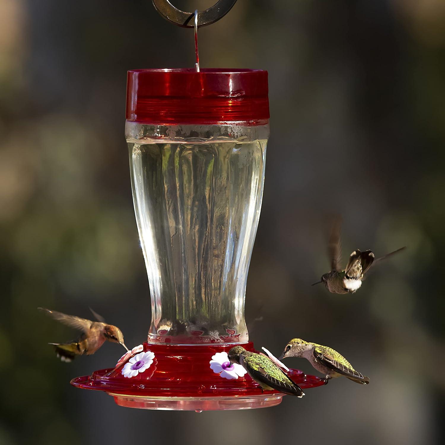 More Birds Big Gulp Glass Hummingbird Feeder - 40 oz