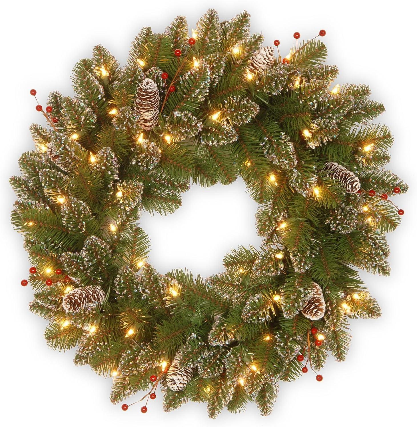 24" Prelit LED Glittery Mountain Spruce Warm White Lights - National Tree Company