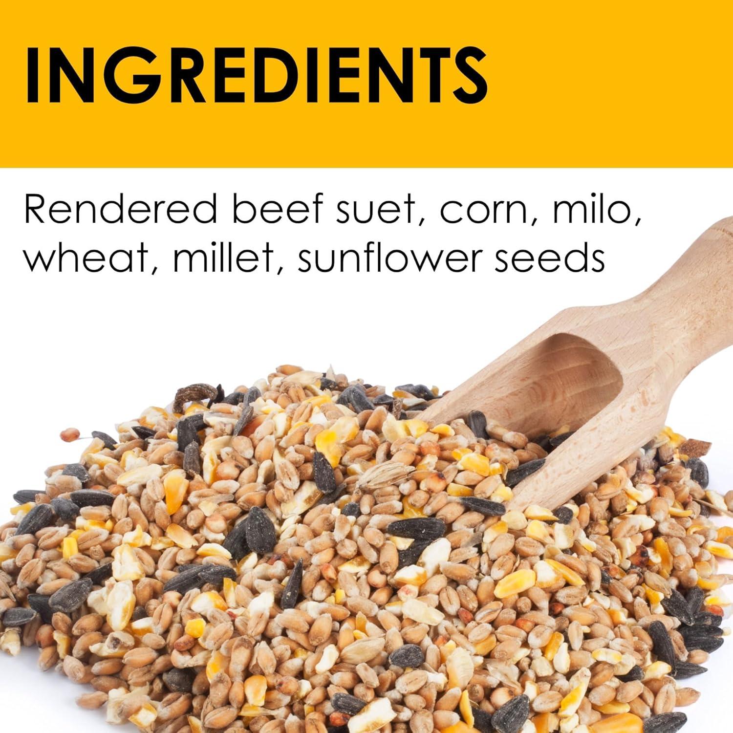Heath Whimsical Chicken Suet 'n Seed Bird Feeder for Sunflower Seeds with 2 Free Bird's Blend Suet Cakes Included