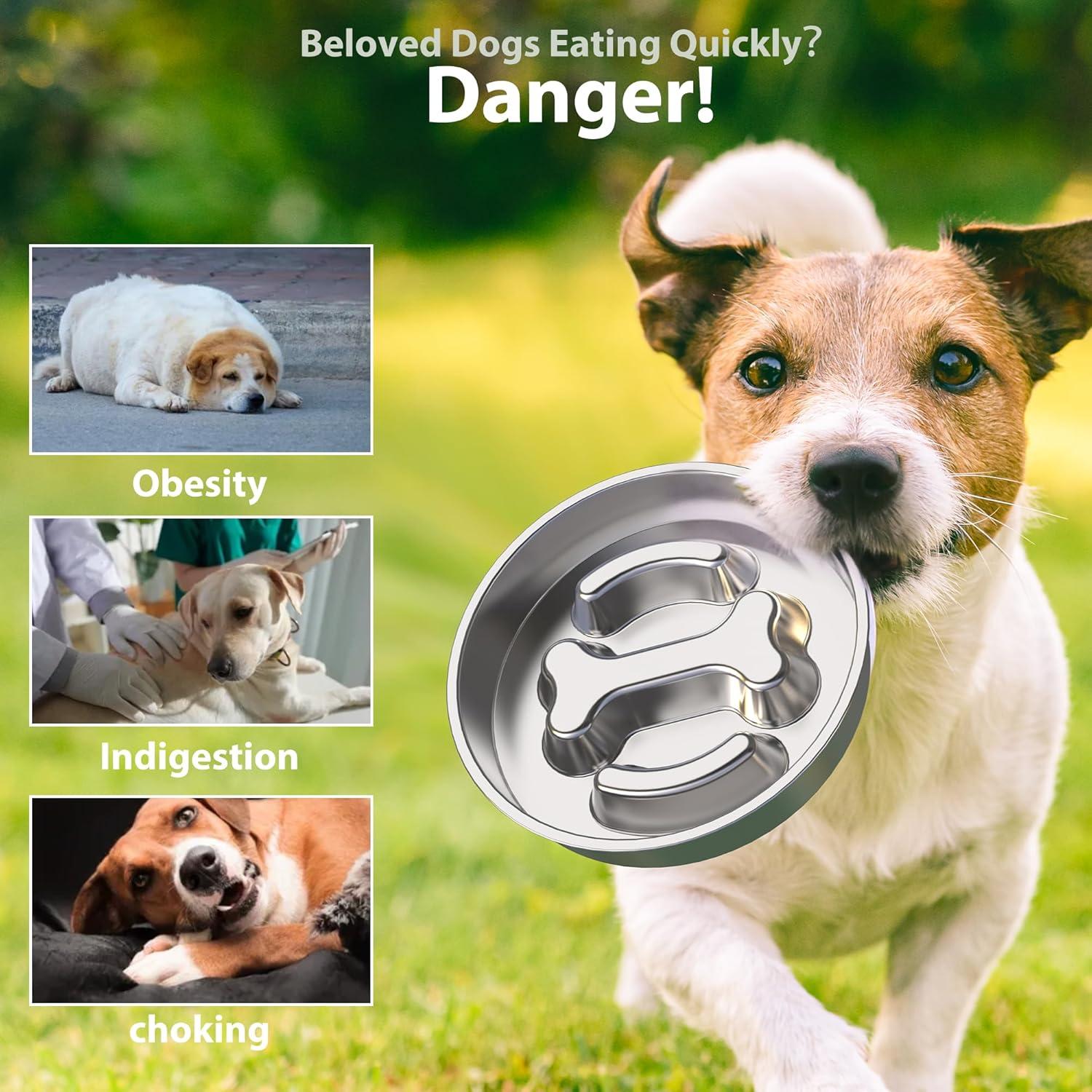 Stainless Steel Non-Slip Slow Feeder Dog Bowls Set