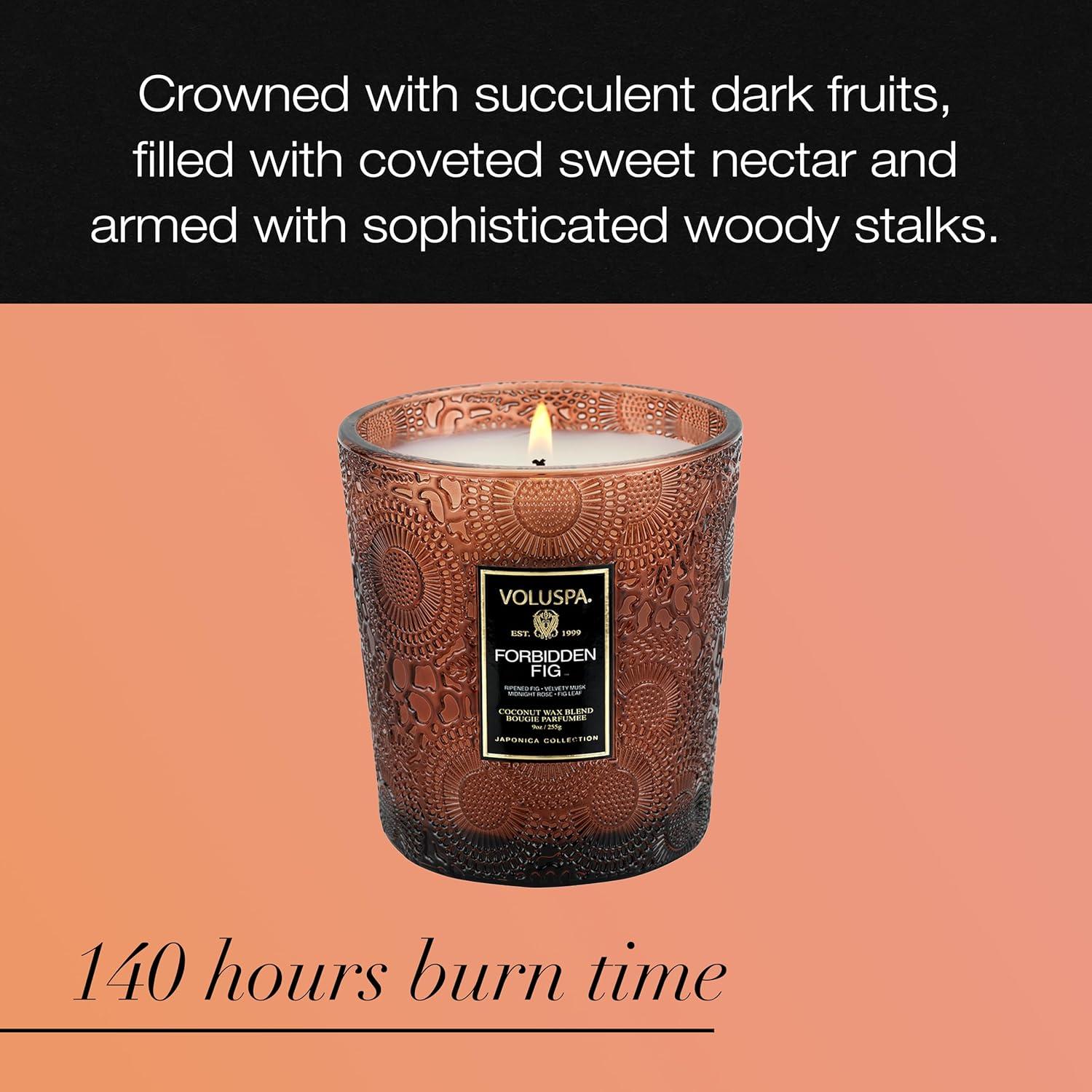 Forbidden Fig Scented Jar Candle with Coconut Wax Blend