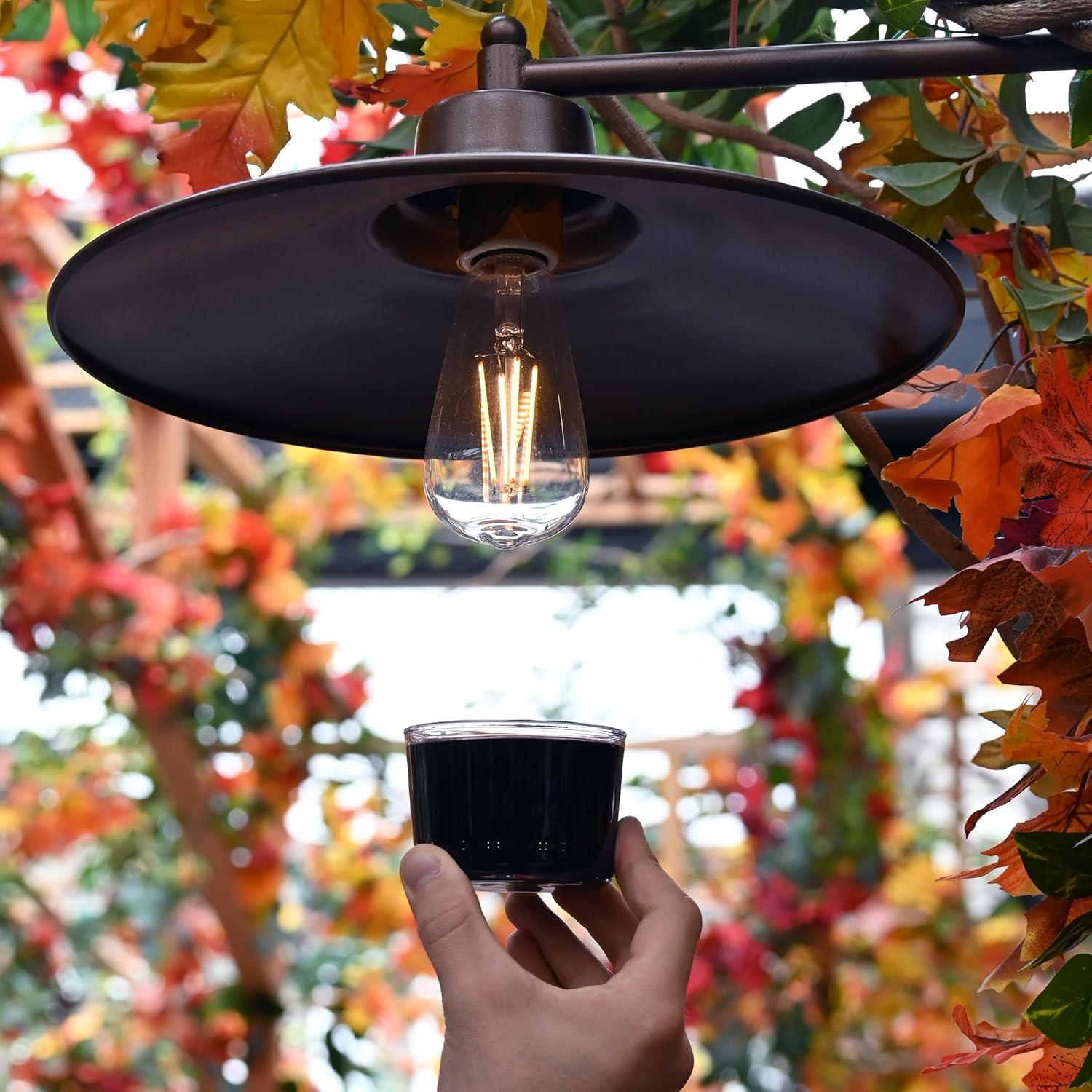 Bormioli Rocco Essential Decor Glassware 7.5 Ounce Drinking Glasses for Water, Set of 12