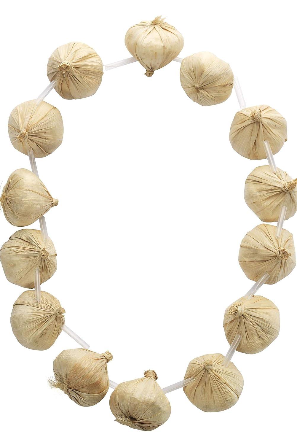 Garlic Garland Adult Cream Around The World One Size Unisex White Fancy Dress Party Book Week Halloween