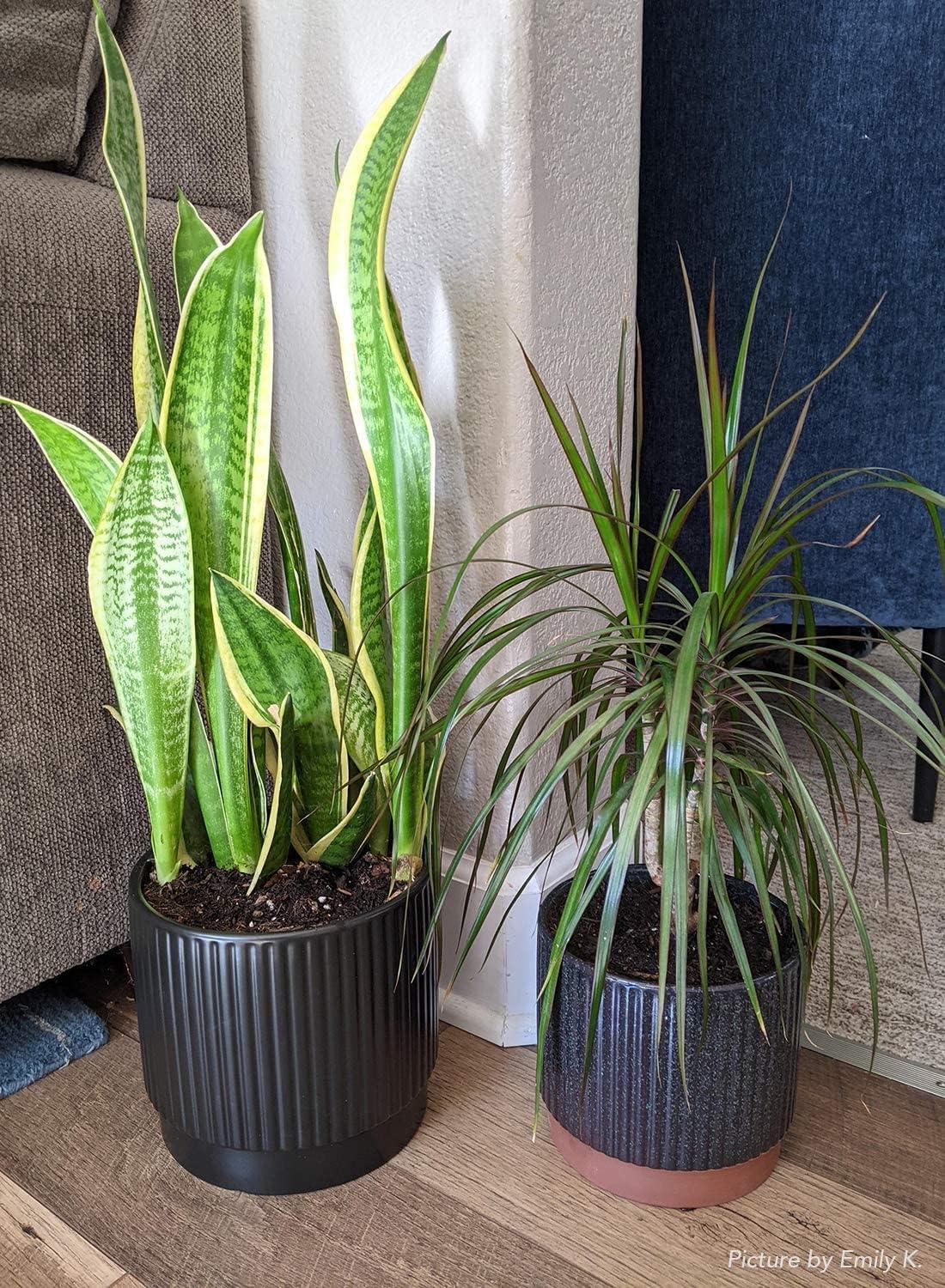 Reactive Glaze Black Ceramic Stripe Round Planter Set with Drainage Holes