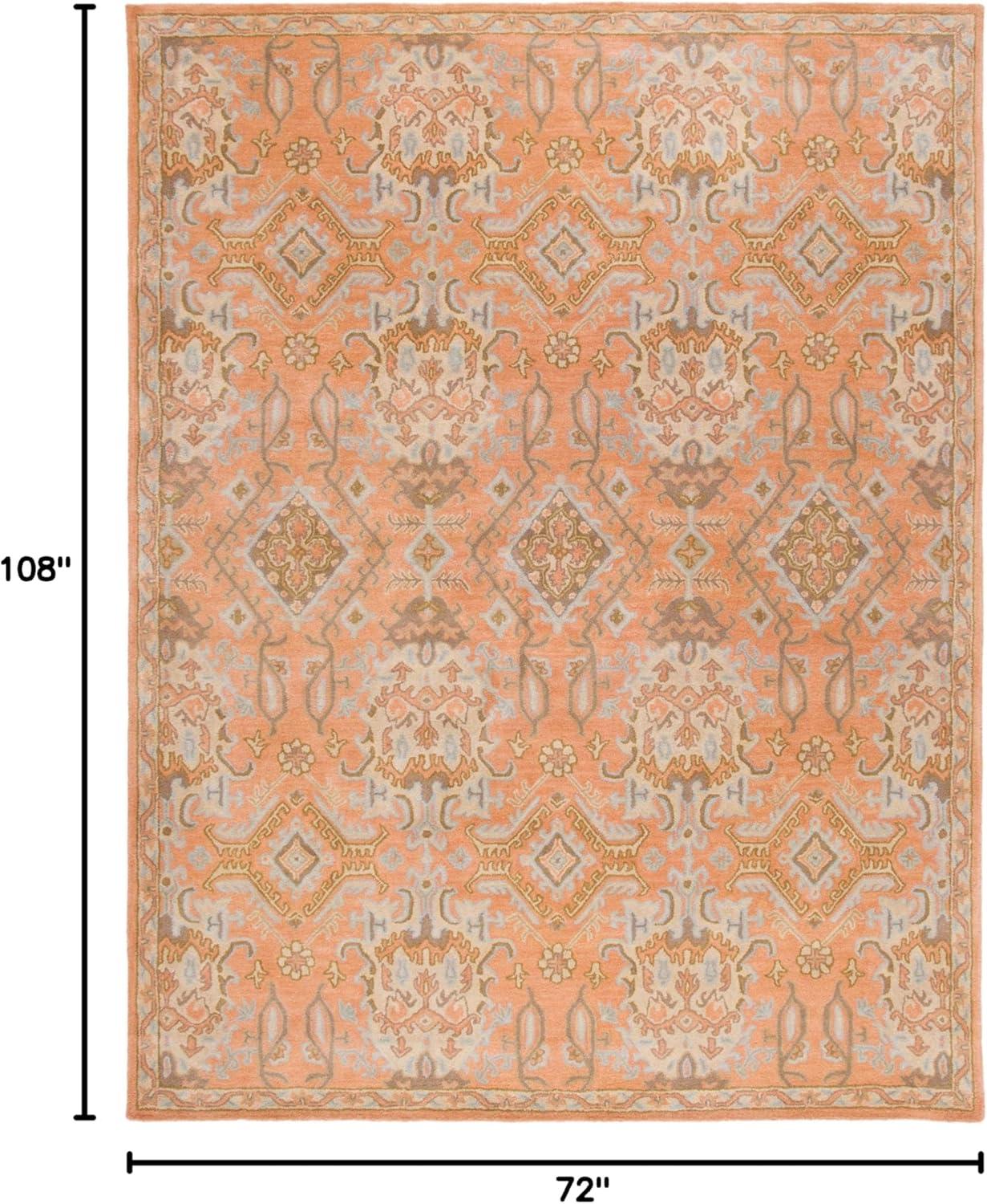 Wyndham WYD203 Power Loomed Area Rug - Terracotta - 6'x9' - Safavieh.
