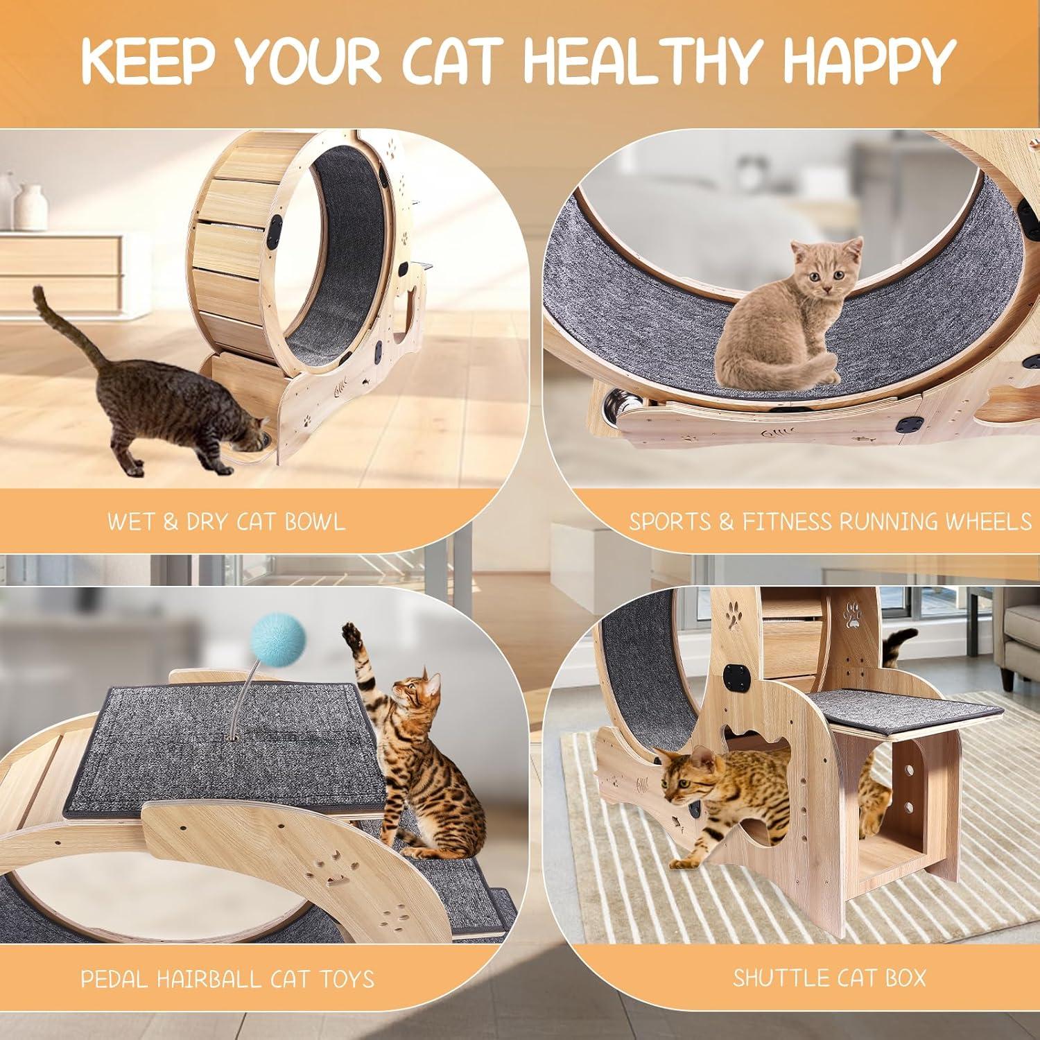 CuisinSmart Cat Running Wheel Nature Wood Kitty Large Wooden Running Wheel Pet Toy Cats Loss Weight Device Cat Rotating Wheel 4 in 1 Ultra Quiet Large Cat Wheel Exercise Treadmill